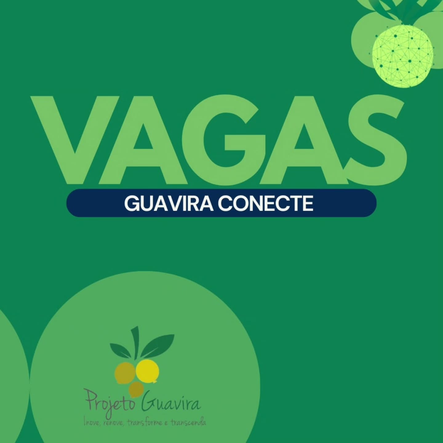 Guavira Conecte: recursos para projetos, bolsas, estágios, empregos, cursos e eventos. Entre no site guaviraconecte.projetoguavira.com para ver as oportunidades disponíveis.
Venha fazer parte do Projeto Guavira!
🔗 Saiba mais em: www.projetoguavira.com
🔗 Saiba mais em: www.guaviraconecte.projetoguavira.com
📷 Siga-nos no Instagram: @projetoguavira
🎞️ Estamos no TikTok: @projetoguavira
📘 Curta-nos no Facebook: /projetoguavira
🎬 Assista-nos no YouTube: @projetoguavira
#guaviraconecte #projetoguavira #guavira #empregos #estagios