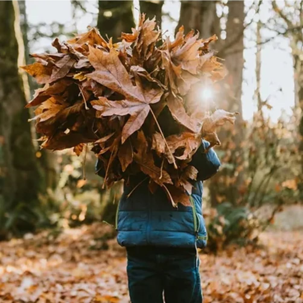 Autumn is upon us, bringing not only vibrant colours and crisp mornings but also an invitation to embrace change and discover new cultural traditions. In our latest blog, we explore the beauty of this season, look at global autumn festivals, learn new seasonal vocabulary, and reflect on how autumn can inspire growth and renewal.
Discover a rich palette of autumn vocabulary in this blog, from descriptive words for the season's beauty to idioms that capture autumn’s spirit, all designed to help you enhance your English skills.
Ready to explore autumn’s magic?
Happy reading...
See link in bio.
#fordlearning #learnenglish #autumn #motivation