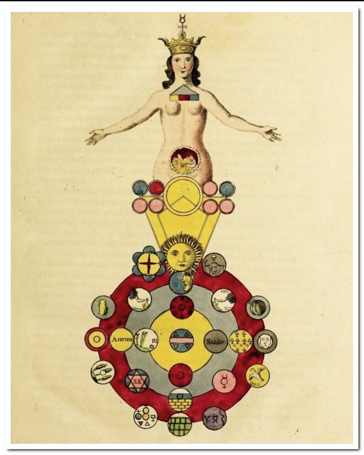 ✨Reconocer nuestra naturaleza es conectar con nuestro poder regenerativo, espiritual y creativo✨
En esta imagen que les comparto, apreciamos el poder individual de la creación: como todo empieza desde el interior del individuo, proyectándose desde dentro para fuera. La corona de Mercurio es un símbolo del poder creativo de la mente, de allí la representación de una mujer para concebir y existir como nodriza de la creación. Pero el poder de Mercurio no acaba allí. Para la mitología, es el único capaz de introducirse entre mundos, así como la mente no conoce diferencia entre los sueños, el mundo de los muertos y la realidad viviente.
En la base del dibujo apreciamos el proceso de creación, empezando desde la cáscara más superficial (un muro) como una idea o una lejana visión, hasta que el tiempo revela su núcleo (Sol), el fruto del estudio, la búsqueda y la perseverancia.
La energía solar y lunar o entendidos también como polos energéticos positivo y negativo serán cruciales para el crecimiento y nutrición de la idea creativa.
Será importante guiar el poder creativo hacia la sabiduría para ir conforme a la evolución armoniosa del alma.
.
.
.
.
.
#mercurio #mitologia #alquimia #comoesadentroesafuera #sabiduria #conocimientoalquimico #sabiduriaalquimica #creacion #autoconocimiento #poderinterior #manifestacion #evoluciondelalma #crecimientointerior #frecuenciamistica