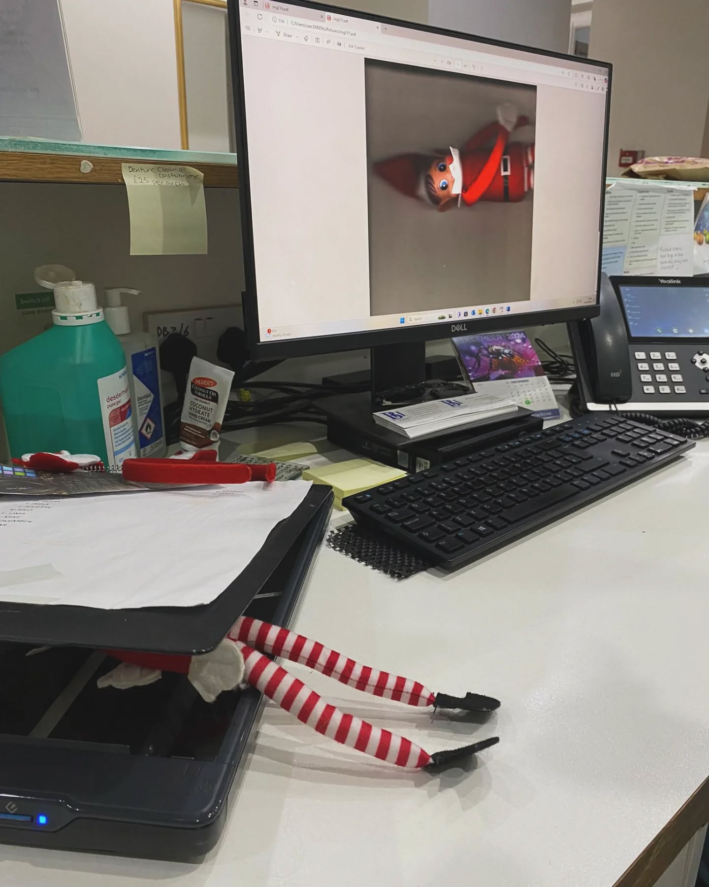 Floss hasn't quite grasped the scanning 😅
❤️🤍