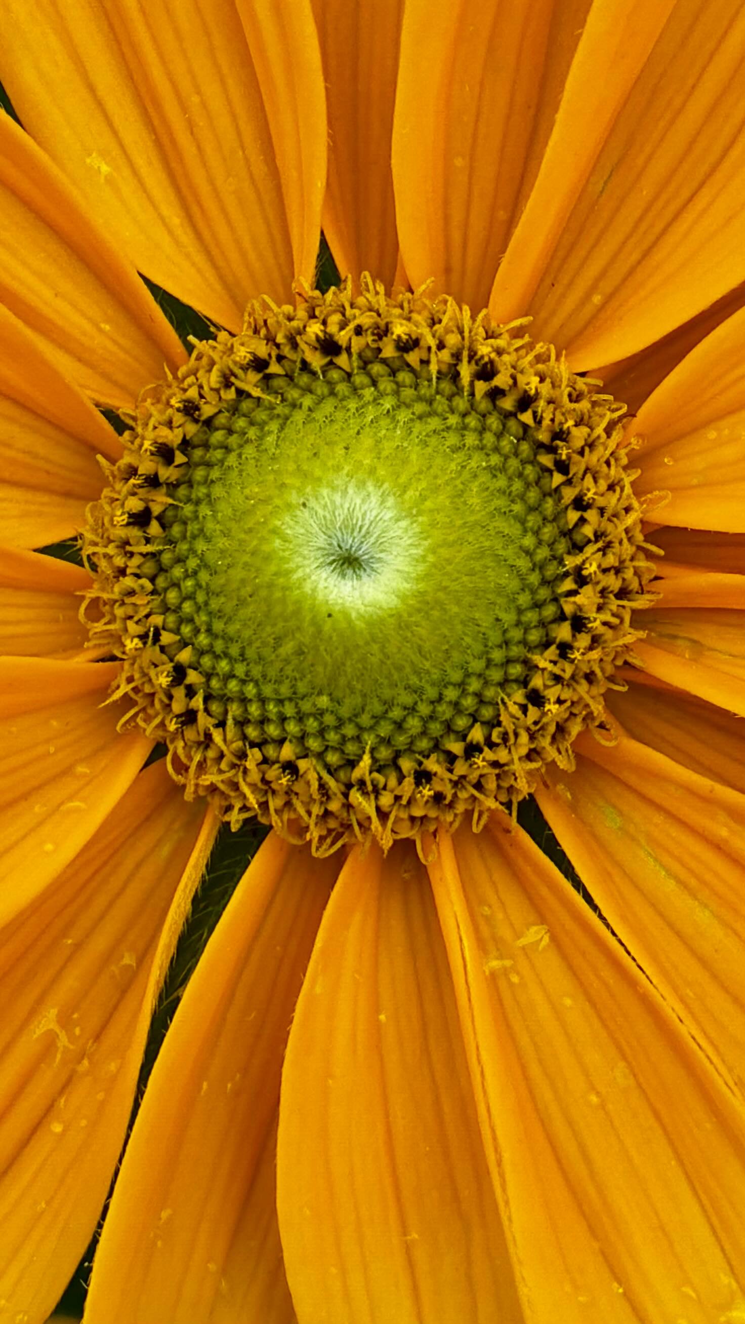 So grateful to share energy healing & sound healing with my growing On Wings of Joy community ✨
Honored to help raise the vibration into deeper love and compassion for all those around me 🤍
DM me if you’re interested in booking a healing session.
#GratefulHeart #OnWingsOfJoy #EnergyHealing #SoundHealing #HealingInCommunity #RaiseTheVibration #LoveAndLight