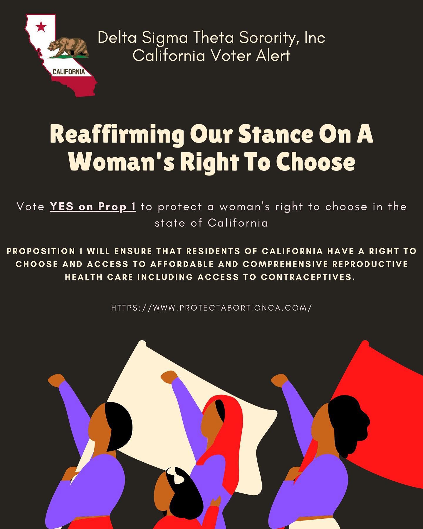 Reaffirming our stance on a woman’s right to choose.
#vote #whywevote #dst1913 #dstfarwestregion #dstfwrr #vcacdst