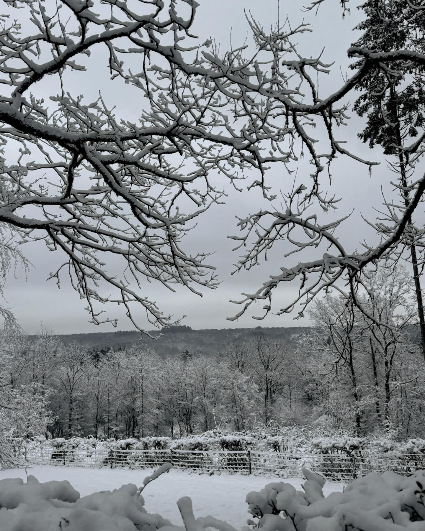 Winter at Maison Oscar.
Firelight, quiet mornings, forest walks, long tables.
A season made for slowing down.