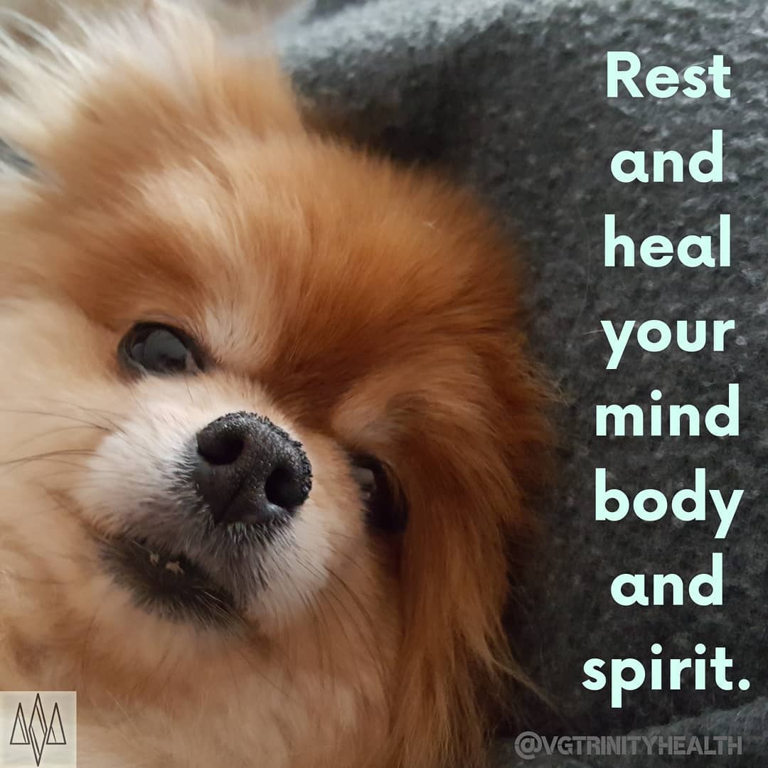 Rochi says it is OK to #rest and #heal.
.
.
.
.
#mentalhealth #mentalhealthawareness #stress #trauma #anxiety #depression #soma #somaticexperiencing #healthylifestyle #gratitude #mindfulness #mindbodyspirit #takingaction #nostigma #free #hope #awareness #open #connection #trust
