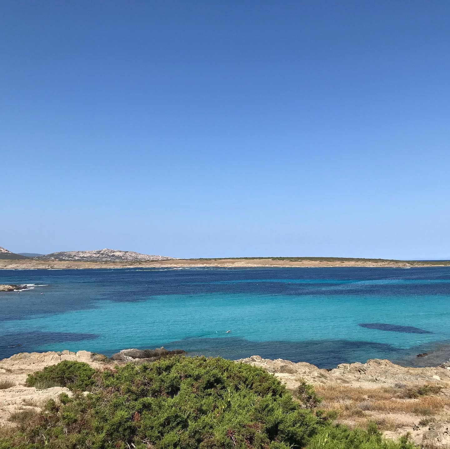 pandemia o no, nella Nurra i colori ci sono sempre #nurra #stintino