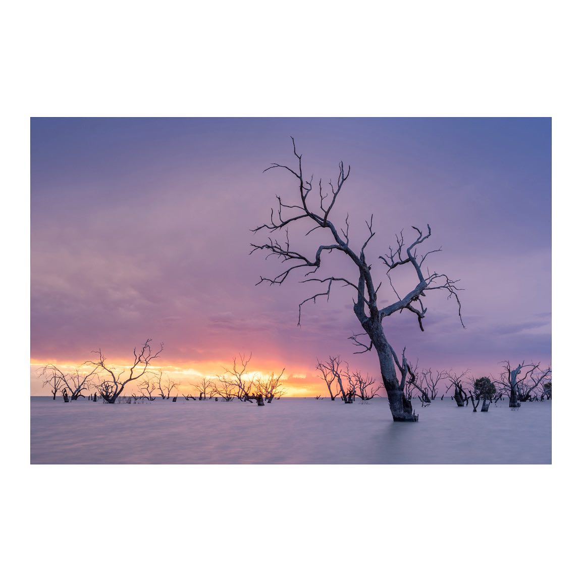 ‘Last Light at Menindee’
.
Lake Menindee ~ NSW.
After waiting out a small dust storm, I was eager to capture this incoming storm coming from the opposite direction. If you’ve ever been to Menindee you’d understand that it’s not the easiest place to find a nice composition. So driving 30km around the lake looking for trees with character takes it time, and I was running of out of it. With light fading and the storm basically on top of me, I finally found this beauty, and just as I started walking out into the water to capture it, the sun popped through the cloud for a brief moment and the colour began to radiate. I felt pretty special to witness such a moment in time.
.
#australia #trees #australiagram #lakemenindee #menindee #lake #australiangeographic #sunset #storm #seeaustralia #discoveraustralia #getoutstayout #fujifilmgfx100s #landscape #landscapehunter #outback #outbacknsw #visitnsw #nsw @fujifilmx_au @travelaustralia @australia