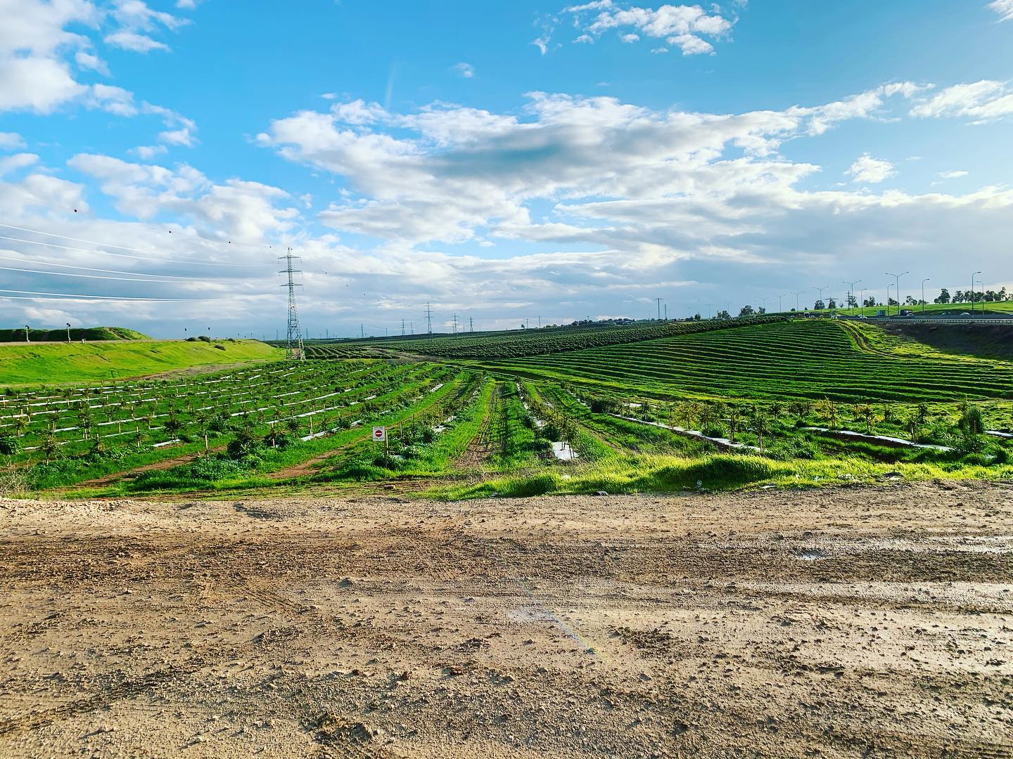 #south #israel #winter #nature #beautifulisrael #travellocalisrael #tripinisrael #israel @travellocalisrael
