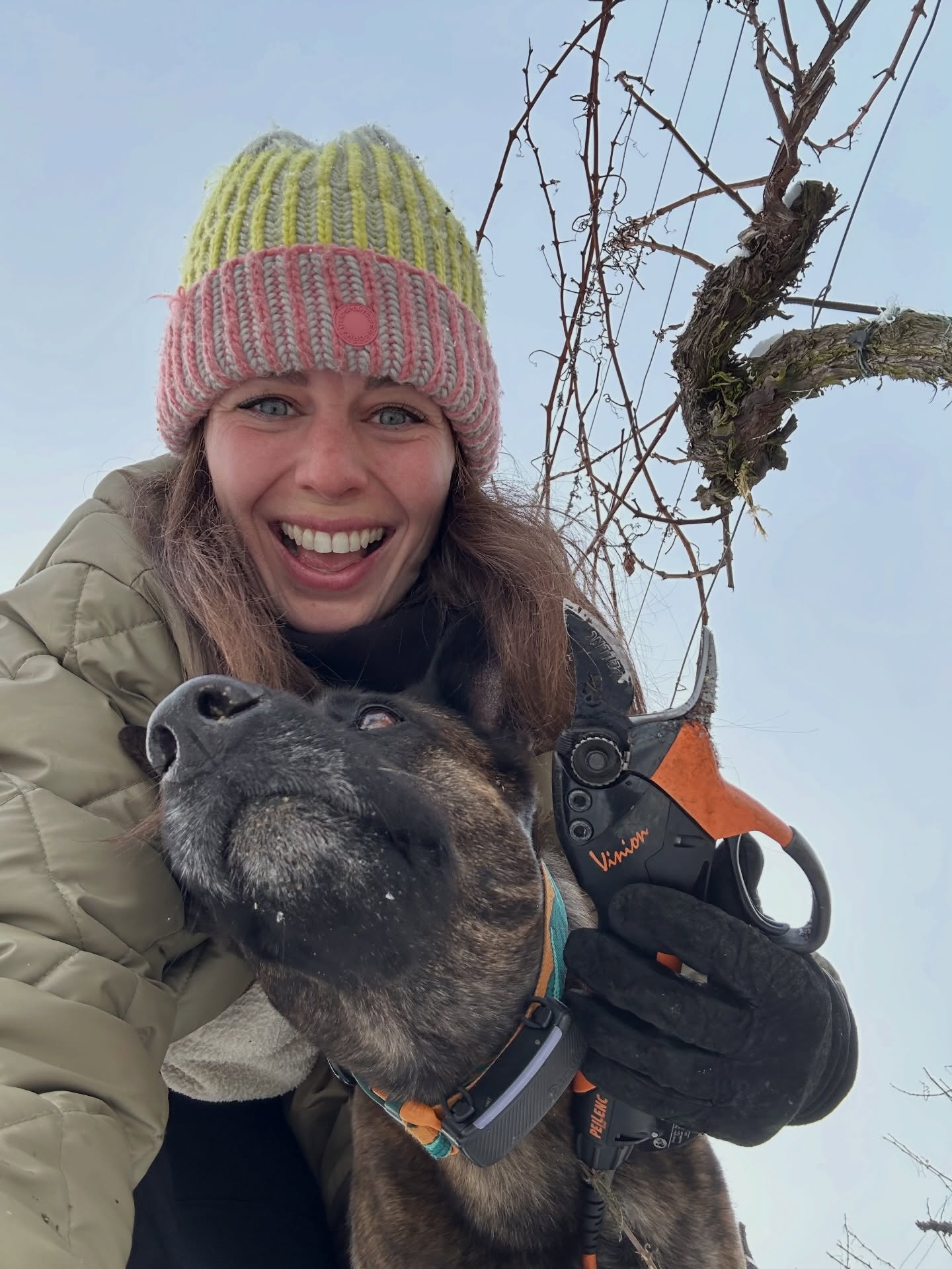 January recap ❄️🤍 1. Semester überstanden 😉 #january #snow