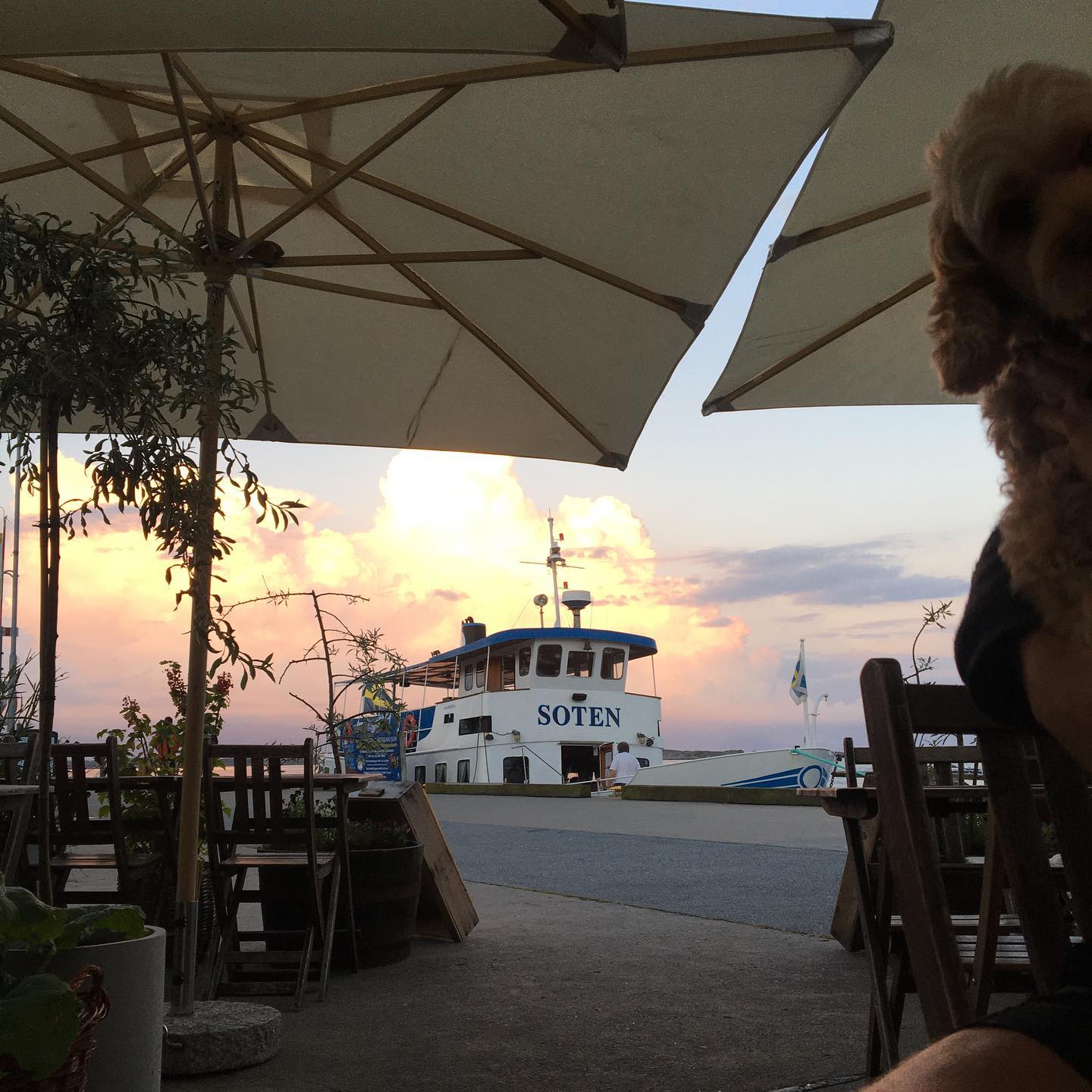 Tack alla fina besökare för i år♥️! Vi längtar redan tillbaka. Lycka till med hummerfisket 🦞 så ses vi snart igen / Roysdeli