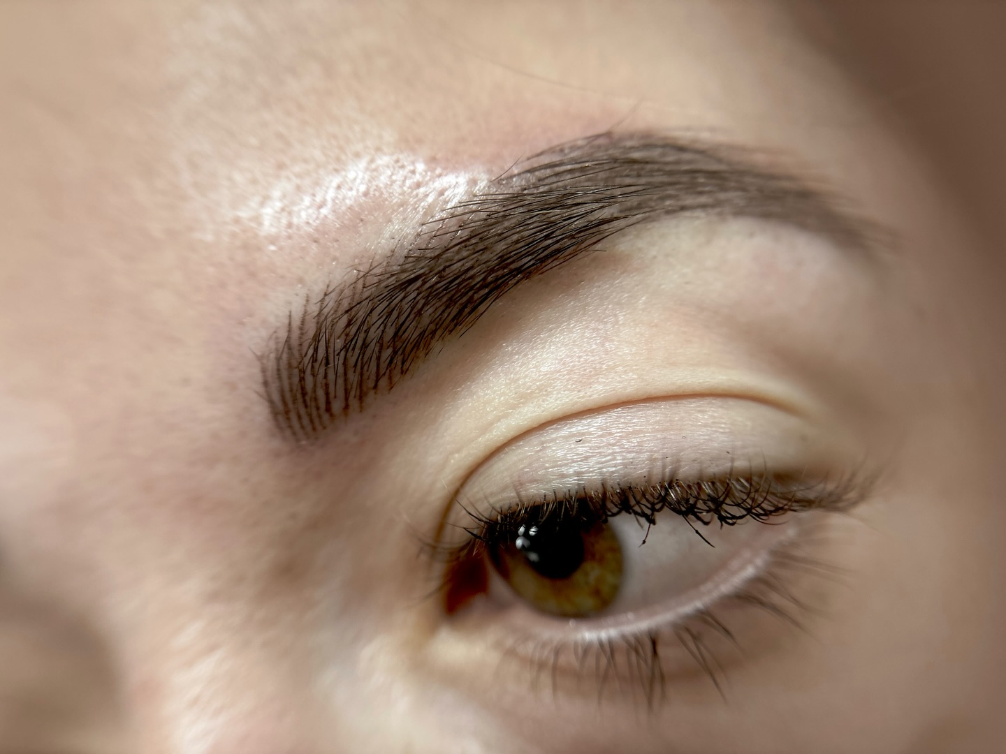 Are we still doing #browgoals
Because I’m feeling it.