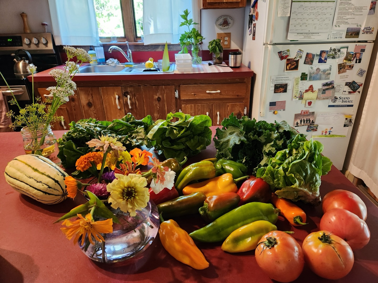 A lovely customer shared these photos of a couple CSA shares from this season! We love seeing our veggies out in the “wild” off the farm and in your kitchens. Nearly all of our CSA crops are still rooted in the soil less than 24 hours before you take them home. From healthy soil to healthy tables.