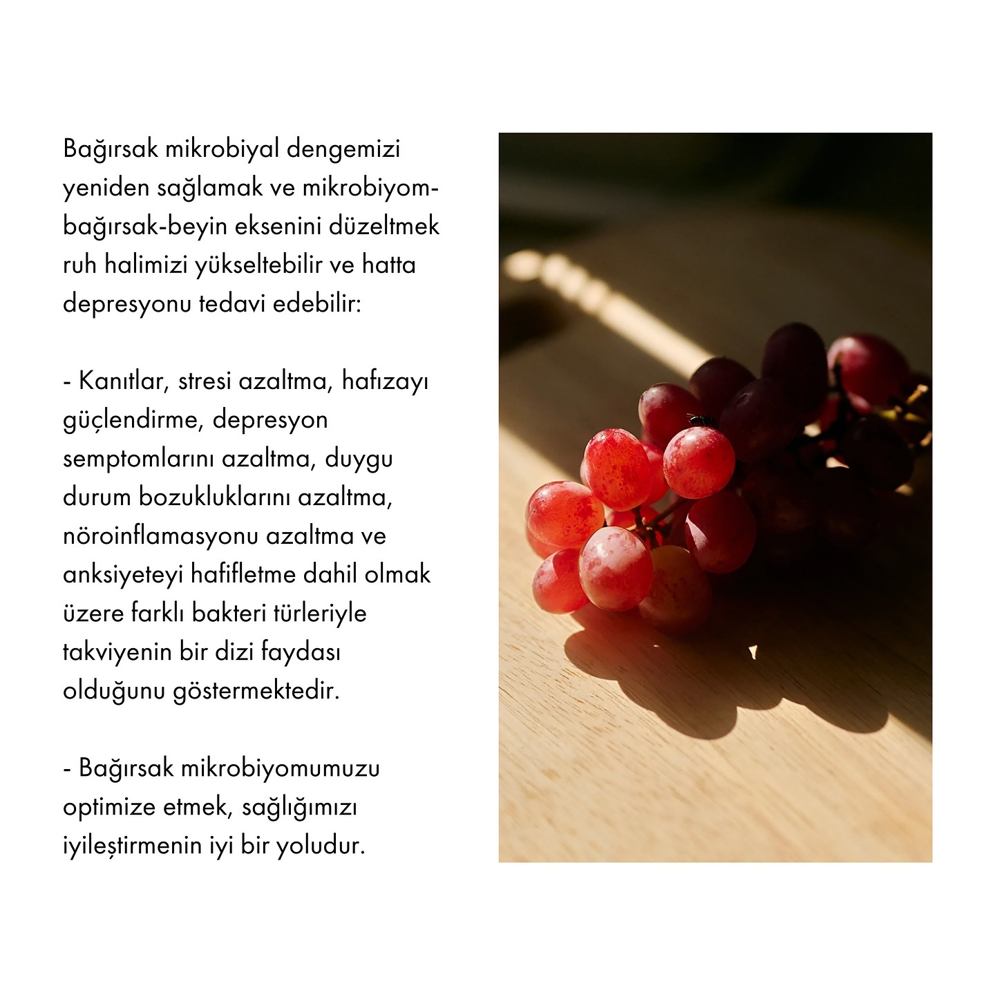 Bağırsak mikrobiyomu, bağırsaklarımızda bulunan trilyonlarca mikroorganizmanın (bakteriler, virüsler, mantarlar) oluşturduğu ekosistemi ifade eder. Bu mikrobiyomun dengesi, genel sağlık açısından kritik bir rol oynar.
Bağırsak mikrobiyomu çeşitli faktörler tarafından olumsuz etkilenebilir. Bu bozulma, “disbiyozis” olarak adlandırılır ve sağlıksız bir mikrobiyom dengesi sonucunda ortaya çıkar. Disbiyozis birçok sağlık sorununa yol açabilir, özellikle de sindirim, bağışıklık ve ruh sağlığını olumsuz etkileyebilir.
Bağırsak mikrobiyomunu olumsuz etkileyen başlıca faktörler şunlardır:
Antibiyotik Kullanımı: Faydalı bakterileri yok edebilir.
Yüksek Şeker ve İşlenmiş Gıdalar: Zararlı bakterilerin çoğalmasına yol açar.
Stres: Bağırsak-beyin bağlantısını bozarak mikrobiyomu olumsuz etkiler.
Düşük Lifli Beslenme: Faydalı bakterilerin beslenmesini engeller.
Aşırı Alkol Tüketimi: Mikrobiyom dengesini bozar.
Yetersiz Uyku: Mikrobiyom çeşitliliğini azaltır.
Çevresel Toksinler: Pestisitler ve ağır metaller mikrobiyomu olumsuz etkiler.
Bağırsak mikrobiyomunu korumak ve geliştirmek genel sağlığımız üzerinde büyük etkilere sahip olabilir.