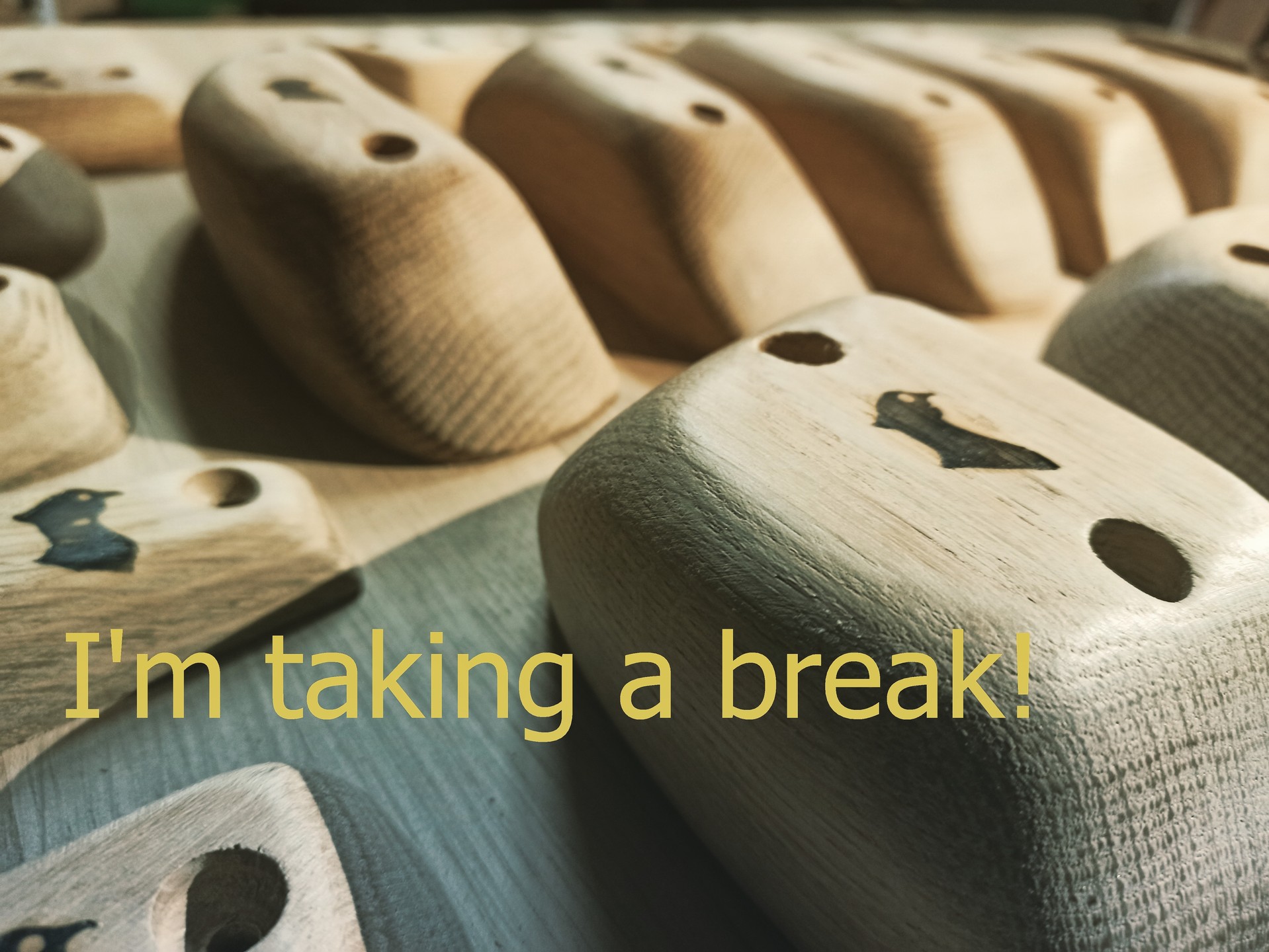 Hi! After a hectic first 5 months of 2024 I'm taking a break until 1st September to work on new products and reconnect with climbing after a busy year. All existing orders will be honoured and any orders placed before 1st September will be despatched in September. I love all my customers and supporters and will be back later this year., Thank you everyone!