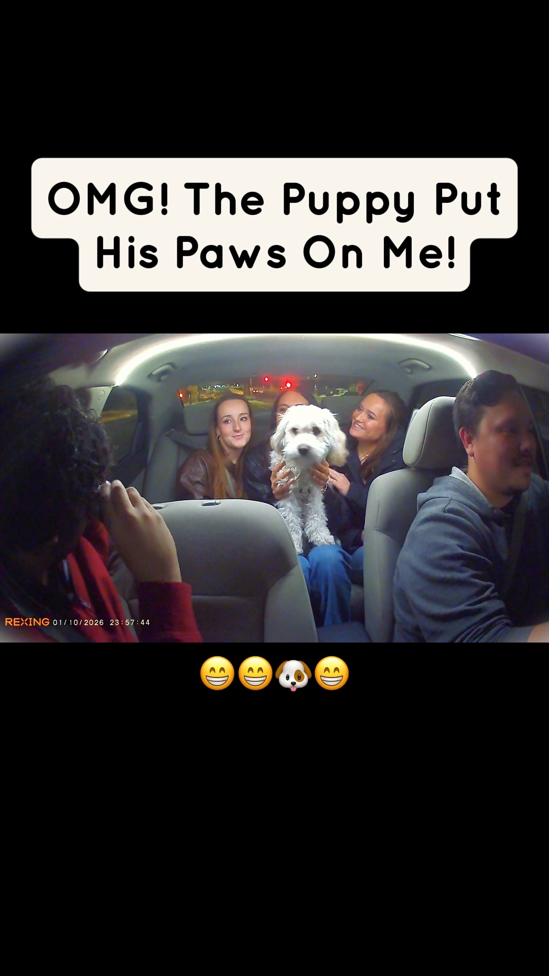 These Passengers LOVE Marshmallow!
#ridewithmarshmallow #thelyftpuppy #dogsofinstagram #cavachon #minnesota