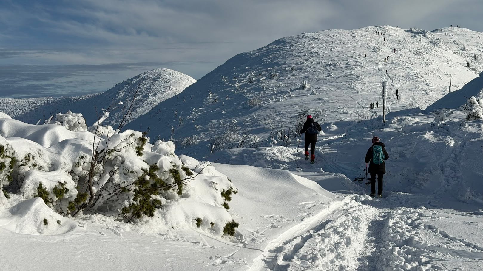 Nemusíš ísť na Everest, aby si zažil poriadne hory ❄️⛰️
Krásne výhľady a výzvy sú niekedy oveľa bližsie, než si myslíš – napríklad na Chlebe vo Vrátnej.
Zimné túry, čerstvý vzduch a príroda, ktorá nabije energiou 💙
👉 Oddych aj dobrodružstvo nájdeš na www.apartmanterchova.sk
#apartmanterchova #terchova #vratna #chleb #zimnavyprava #slovenskehory #winterhiking #horskezazitky #dovolenkanahorach #adventuretime #mountainvibes #travel_slovakia #slovakia