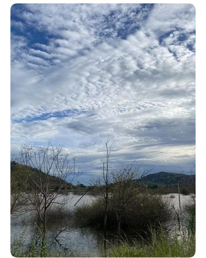 “I imagined the cool, clean air and this huge, perfect blue sky all around me.”
– Ken Walshe
#bluesky #nature #sky #photography #clouds #naturephotography #landscape