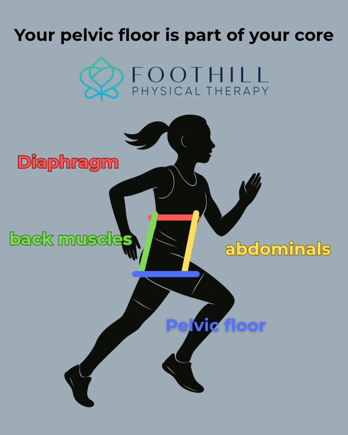 Once you realize these muscles all work together, it makes sense when you realize you have a combination of pelvic floor symptoms
AND back pain
AND why that C section actually impacted you
AND you feel anxious, like you can't take a deep breath.
You start feeling like you're chasing your tail.
If your PT hasn't assessed your pelvic floor muscles, this might be the missing puzzle piece 🧩
We know how to put all the pieces together and look at you as a whole person.
Call or message to set up an appointment. ⭐️
#pasadena #pelvicfloorphysicaltherapy #PhysicalTherapy #healthcare #instahealth #pelvichealth #pelvicfloor #exercise #womenshealth #pelvicpt #pregnancyexercise #postpartum #pregnancypt #coreworkout #corestrength #coretraining #cesareanrecovery
