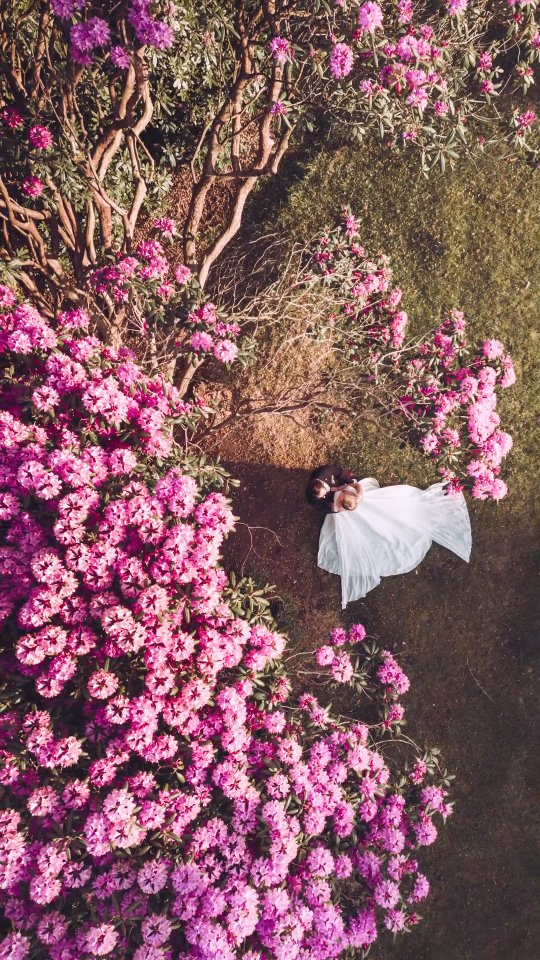 Throw back to -
--
Nikki ⚡️ Joel // #weddinggoals
.
.
.
.
.
.
.
.
Venue - @highley_manor_sussex
Venue stylist - @mulberry.events
MUA - @bridalmakeupbysam
Hair - @katiepalmerhair
Florist - @beachtownblooms
Dress shop - @cameobridesofdrayton
Suit shop - @astares_menswear
DJ-@jpc_events
Saxophonist - @rachelsaxmusic
Photo booth - @ukfuncasinohire
@nikkimortlockk @joel_a93
--
#londonweddingphotographer #Londonwedding #hampshireweddingphotographer #hampshirewedding Brightonwedding brightonweddingphotographer