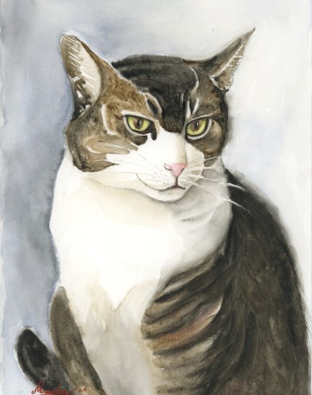 Portrait à l’aquarelle du chat de mon ami. Trop mignon🥰
Watercolor portrait of the cat from my friend. A cute one🥰
#watercolor
#animalpainting
#animalportrait