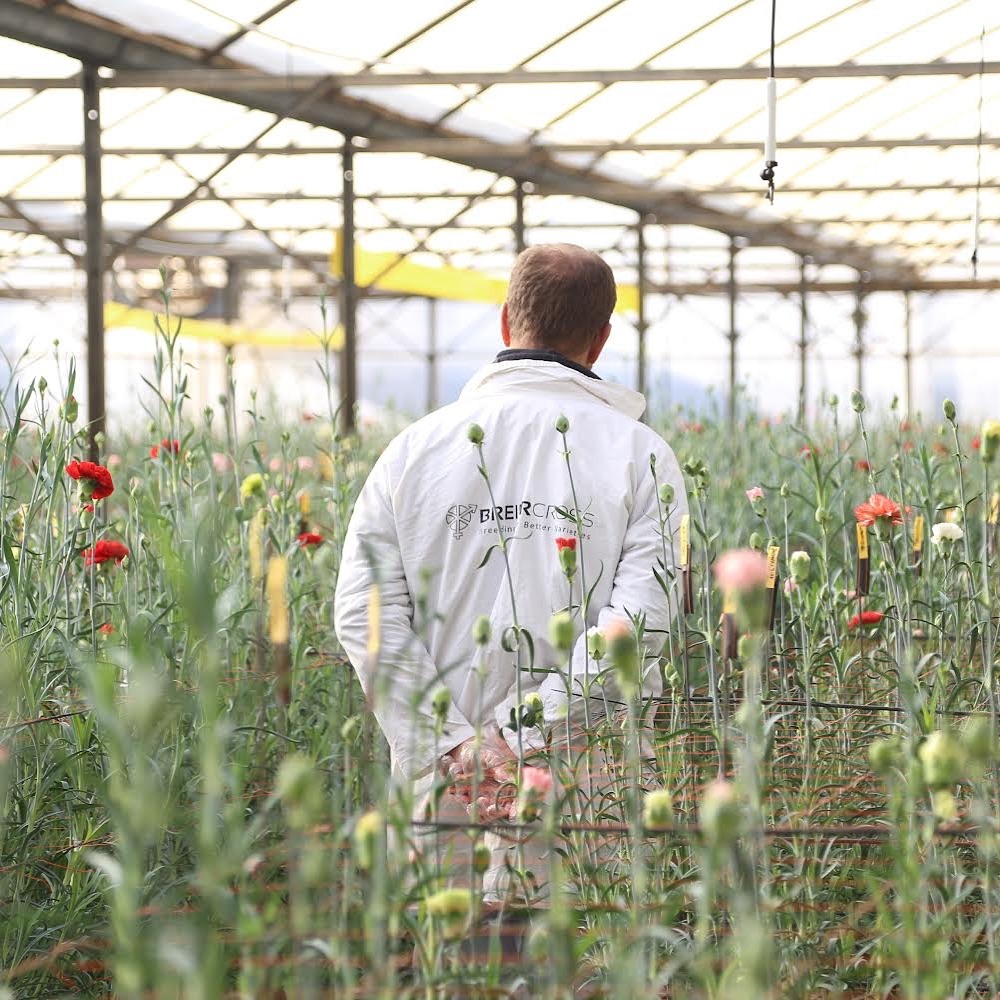 Always growing
#love #TFLers #tweegram #photooftheday #20likes #amazing #smile #follow4follow #like4like #look #instalike #igers #picoftheday #food #instadaily #instafollow #followme #girl #iphoneonly #instagood #bestoftheday #instacool #instago #all_shots #follow #webstagram #colorful #style #swag