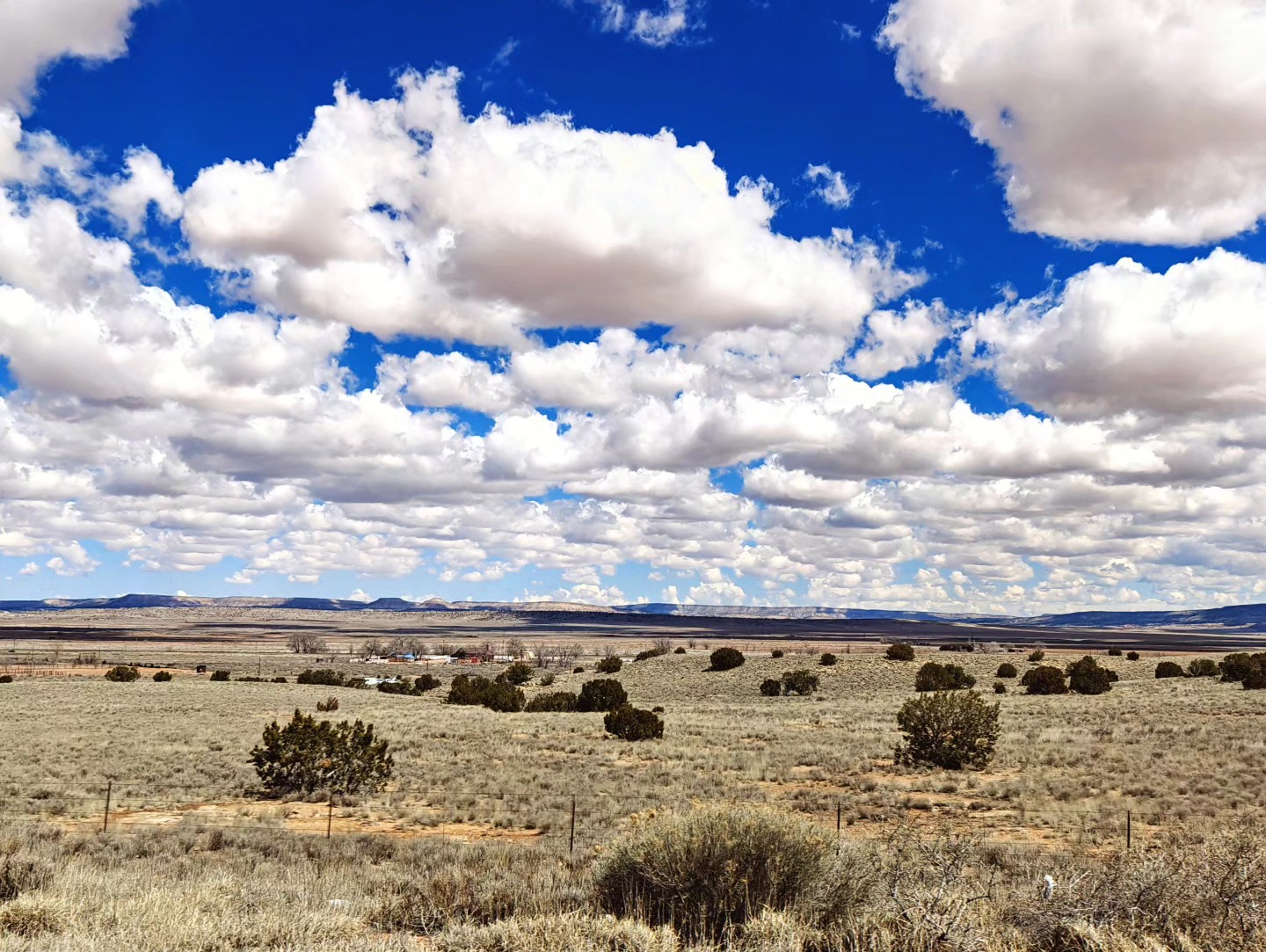 Walt you out there 🔭