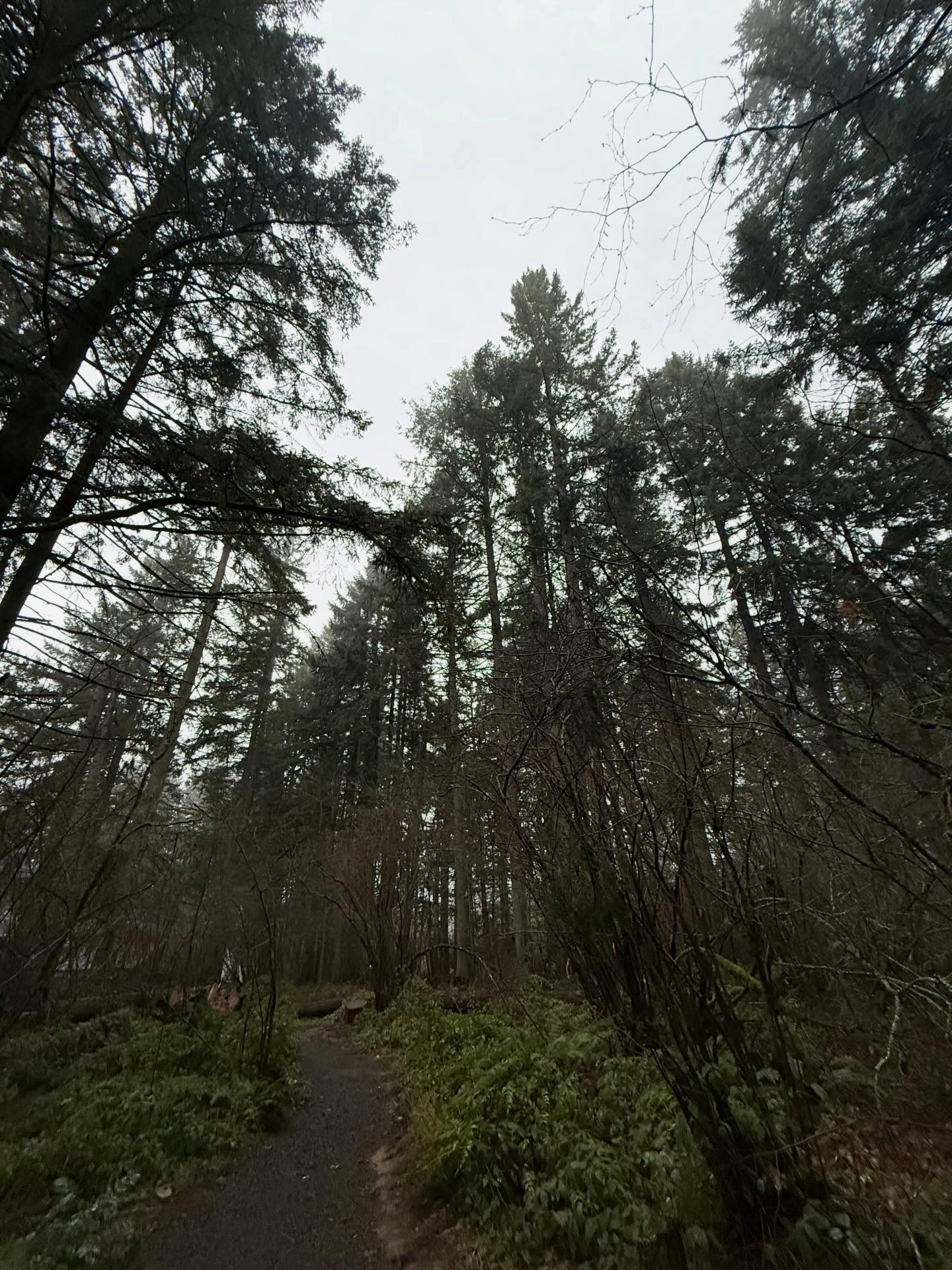 Fiddle Leaf stands with immigrants.
We believe in justice for all and in fair, equal opportunity for everyone. We stand with those who fear for their lives, their freedom, and the safety of their families.
We will continue to use our platform and our voice to advocate for people who are underrepresented and too often unheard.
We’re also helping to raise funds for the ACLU, who work to protect the fundamental constitutional rights of due process and equal protection guaranteed by our Constitution and Bill of Rights.
Link in bio if this resonates with you. 💚