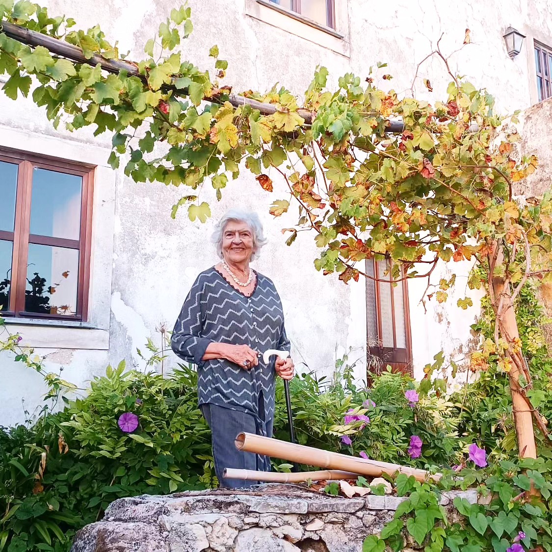 ~ a visita da avó ~
📸 @simone.regenera