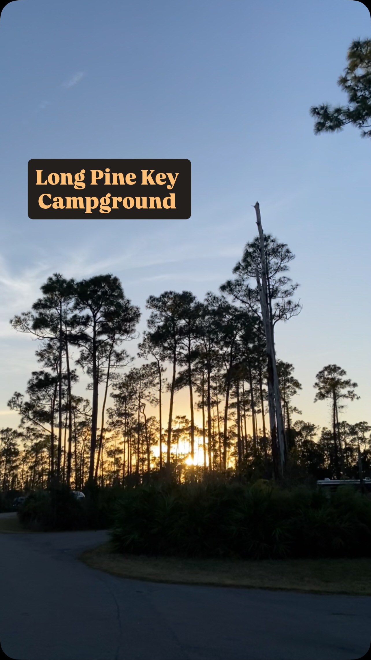 🌿A Little Appreciation for Long Pine Key Campground🏕️
Grateful for the trails, the peace, the space to reset — and for the Everglades always showing off in its own subtle way.