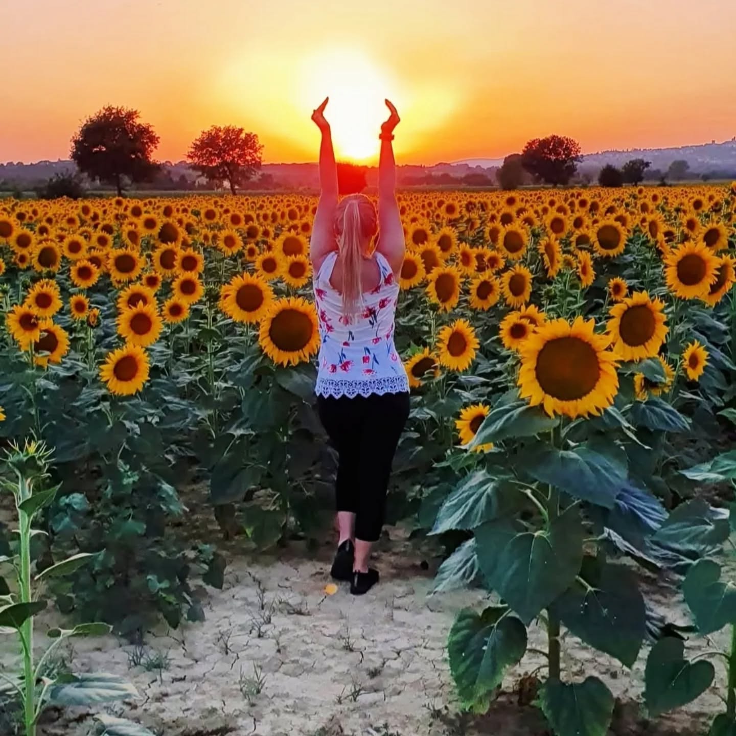 March opens like a breath of new life.
Flowers remind us that blooming takes time but when they do they offer their fragrance freely to the world.
Spring is the season of rebirth. Of renewal. Of quiet beginnings and gentle becoming.
Let this be a moment to reflect on what you wish to grow, what you’re ready to nurture, what you’re willing to begin again.
To test, to tend, to trust and to allow your own becoming to unfold in its time.
#SpringRebirth #NewBeginnings #SoulGrowth
#SeasonOfBecoming #LoveBeginsWithin