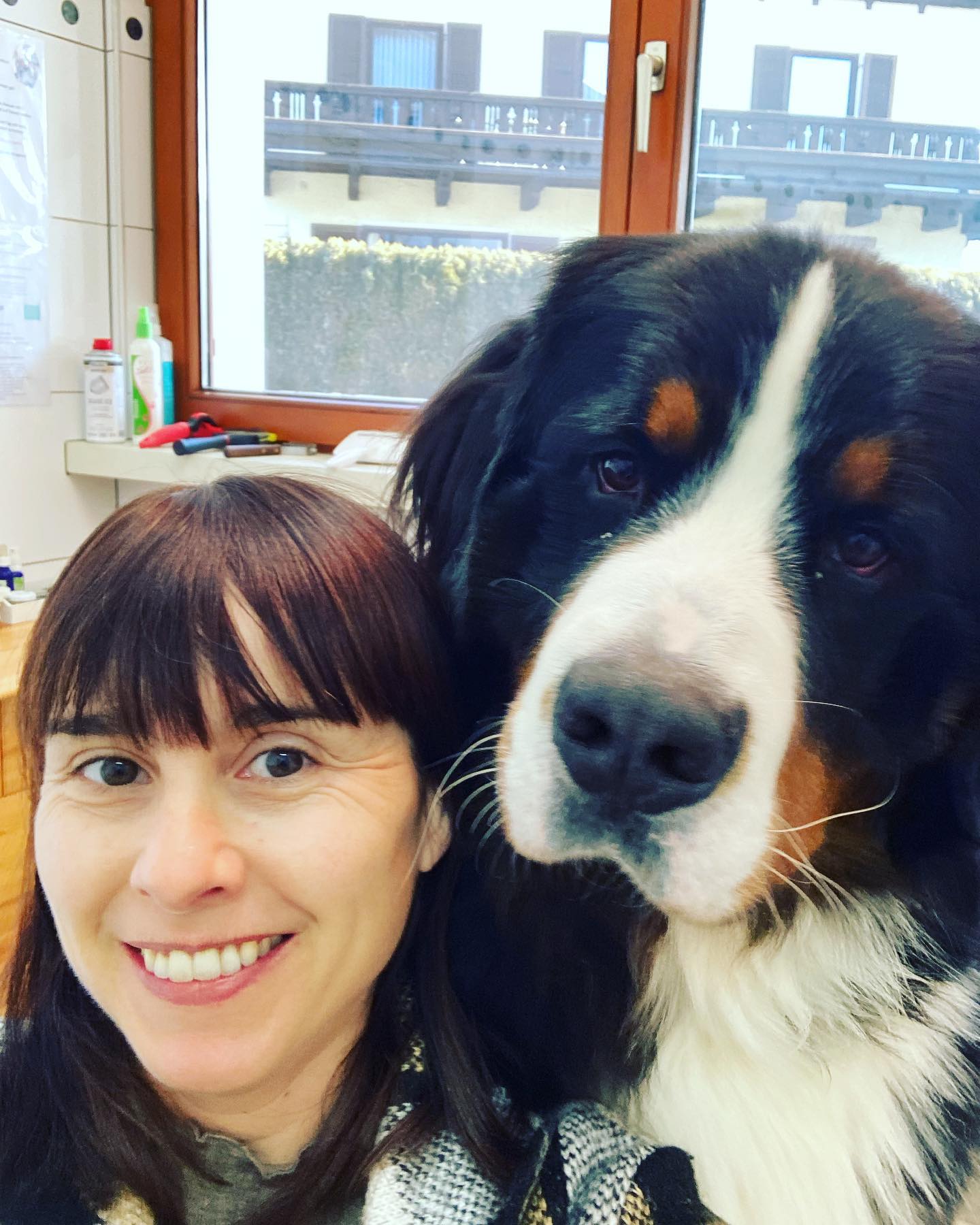 Ich und Enzo wünschen euch einen schönen Wochenstart🤗🥰
#bernersennenhund
#knuddelbär❤️