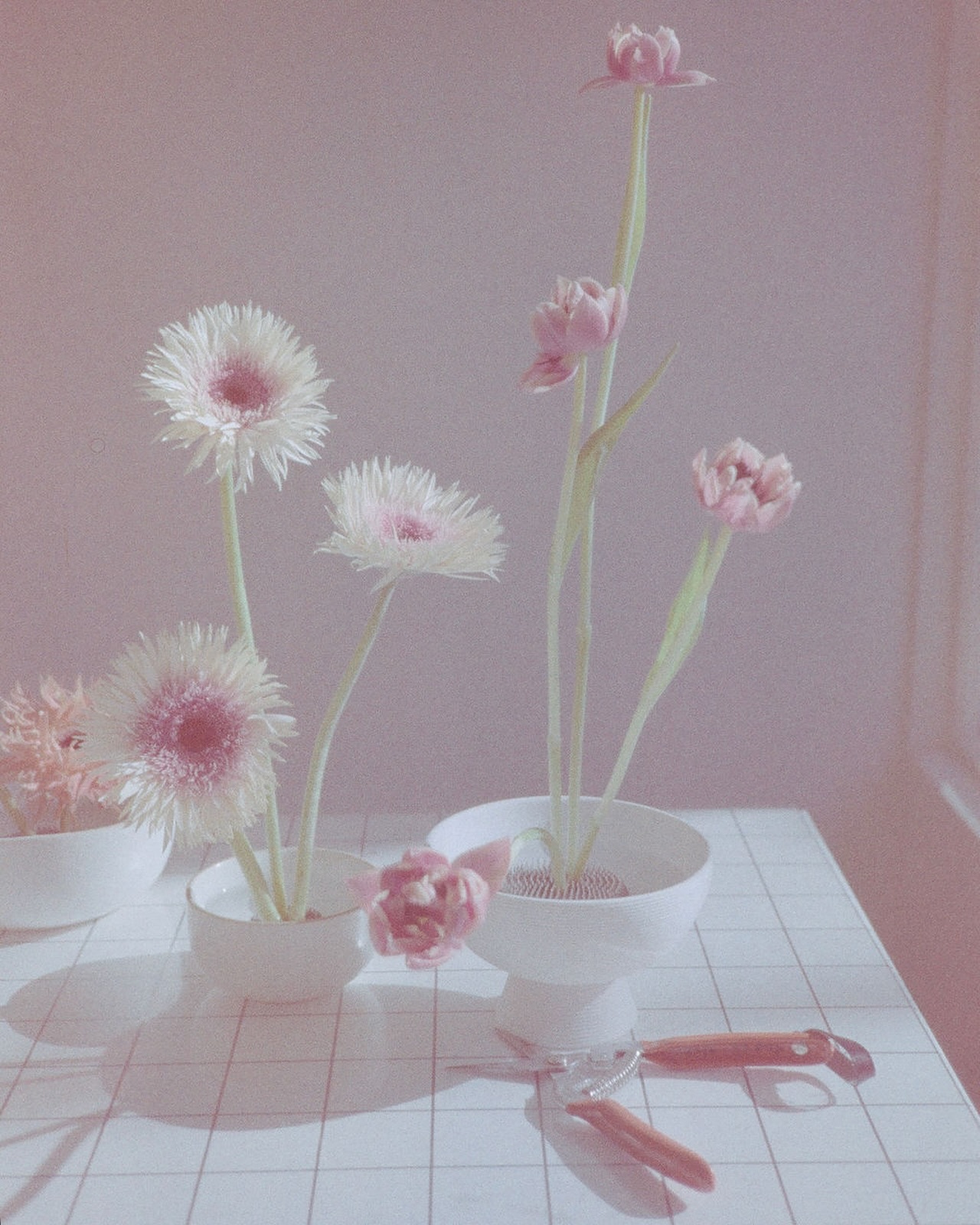 Our morning ritual ☕️ Coffee in hand, scissors at the ready, and a table full of blooms.
Photo: @guzelkhos