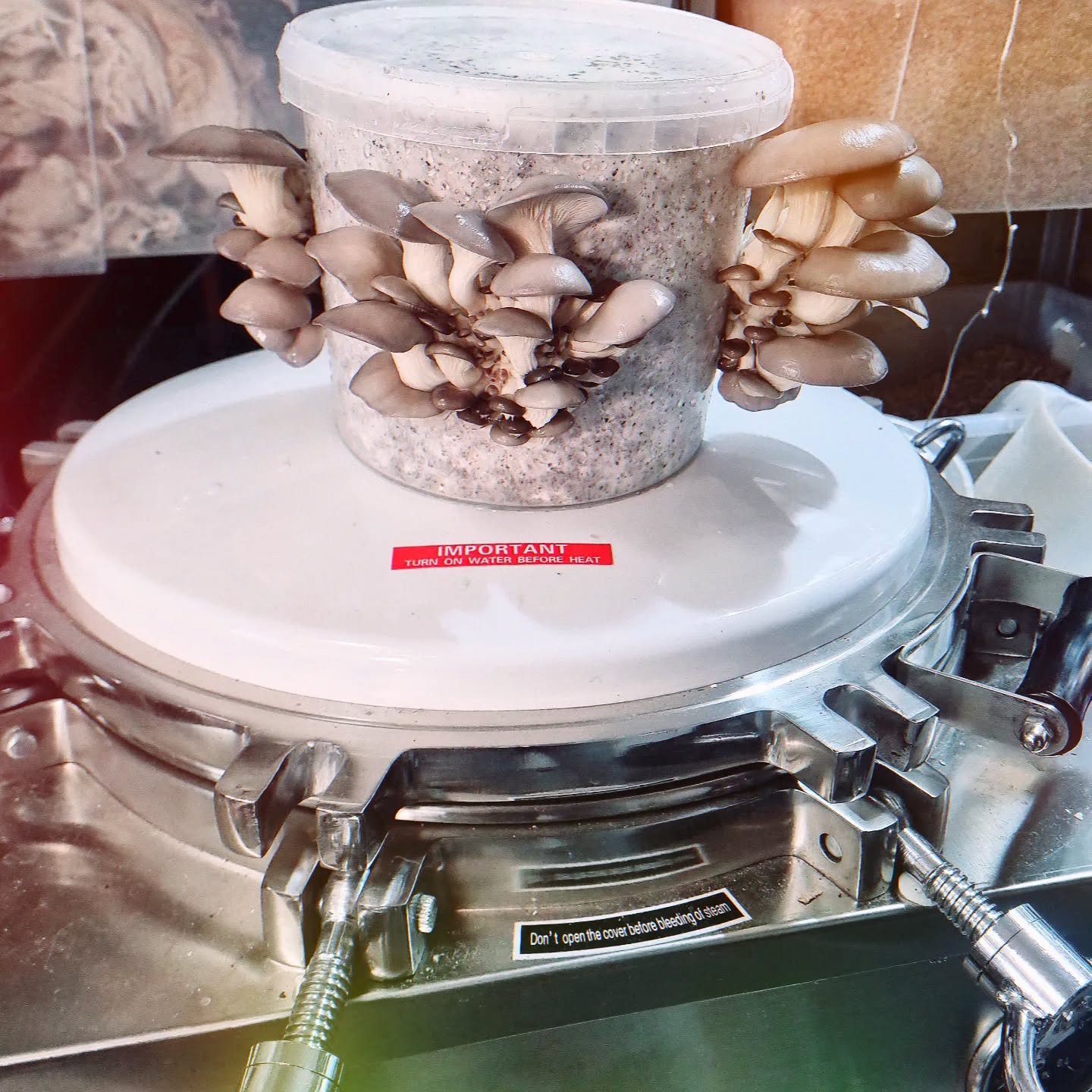 Autoclave flex