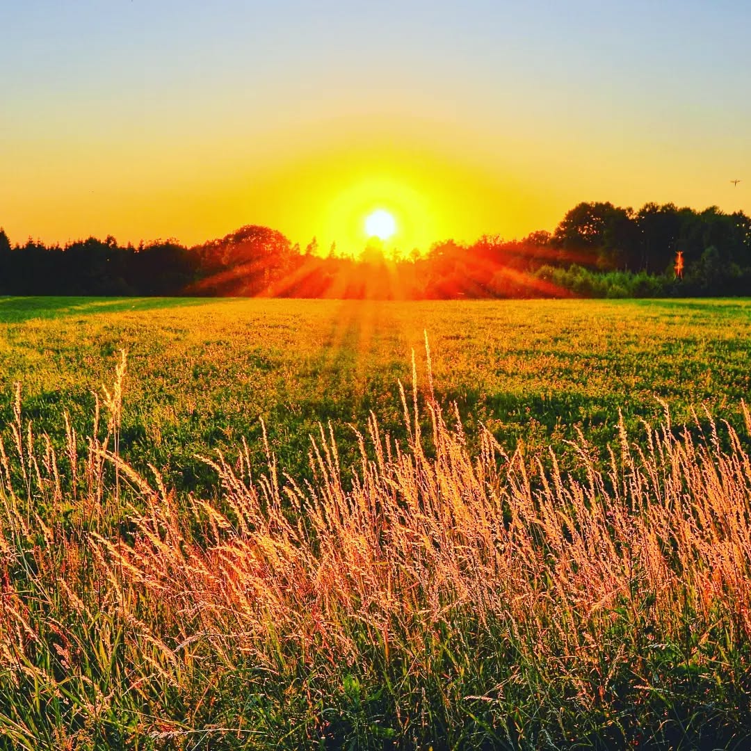 L' alba del cambiamento
Questo periodo dell'anno rappresenta, da un punto di vista sociale, l'inizio di un "nuovo anno". Il rientro dalle ferie estive è quel momento in cui, spesso, stabiliamo nuovi obiettivi.
Questi generalmente riguardano una trasformazione fisica, una crescita personale, un cambio di abitudini, aspetti lavorativi ecc... A settembre (come anche a Gennaio), riversiamo nuovi propositi e aspettative di successo. Proprio per la carica che ci offre il momento post vacanza.
È l'alba di un nuovo inizio, di un cambiamento, di una nuova vita. Tuttavia questo periodo ci fornisce solo una carica motivazionale per partire, un effetto "Luna di miele", che dura un po' di tempo, per poi, tante volte, svanire un attimo dopo. Fino a rientrare nelle solite abitudini, mentali e fisiche, che ci tengono lontani dal risultato desiderato.
Infatti questa data simbolica, ottima per innescare cambiamenti, non garantisce la costanza fino al raggiungimento dell'obiettivo. Per fare questo dobbiamo allineare desideri, aspettative e comportamenti.
Altrimenti i buoni propositi e l'entusiasmo non troveranno una strada facile. Anzi, possiamo dire che, nella gran parte dei casi, ci si blocca subito e non si cambia nulla.
Se anche tu ora sei in questa situazione, hai un obiettivo ma ti senti bloccato, demotivato, oppure confuso e non trovi la tua direzione, probabilmente hai la necessità di un cambio di prospettiva consapevole, scrollarti di dosso tutto quello che, dentro di te, ti sta ostacolando.
Questo vuol dire cambiare il modo di vedere te stesso/a, la tua immagine interiore, le emozioni, il tuo sentire, creare un altra esperienza emozionale. È necessario diventare la persona capace di produrre quel risultato.
All'interno di un percorso di coaching è possibile capire cosa ti sta bloccando, capire emozioni e comportamenti, trasformare la parte di te che ti separa dal risultato che vuoi ottenere.
Contattami per qualsiasi informazione.
.
.
.
.
.
#crescitapersonale #cominciamoalmeglio #obiettivi #consapevolezza #valori #emozioni #abitudini #coachingcagliari #cambiamento #coachingsardegna #mindset #instacagliari #instasardegna #sardegnalive #sportcagliari