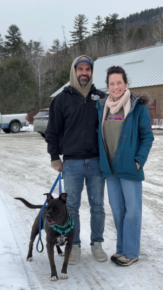 Meet Alice ❤️
Alice arrived at the shelter after her owner sadly passed away. She's now 10 years old, so a quiet home would be ideal for this sweet girl to live out her golden years!
Please call the shelter to learn more about her!
☎️ (518) 873-5000
#adoptdontshop #seniorpet #rescuedog #spcadogs #foreverhome