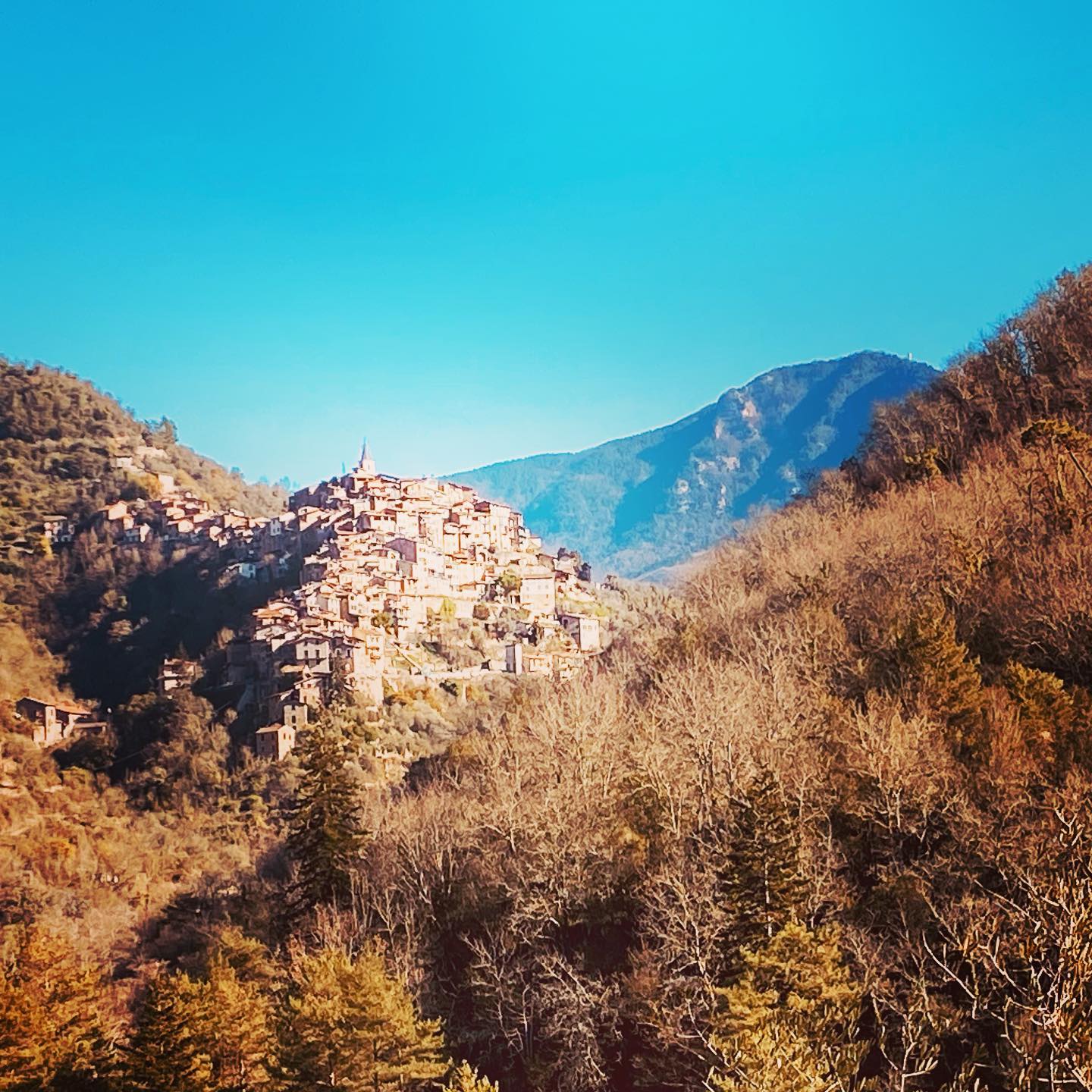 Litt av et syn det greiene der, altså! #apricale❤️