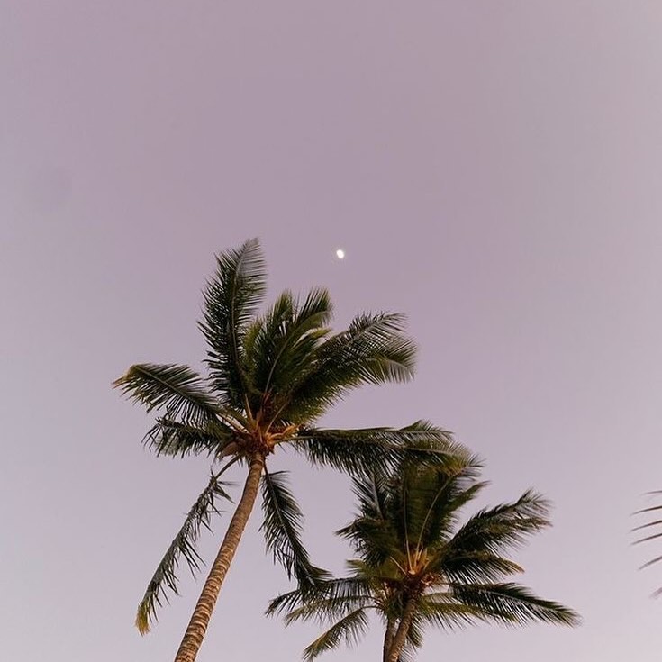 At PRC, we are not pigeonholed to any specific region in the US but have naturally developed a vast network of talent in California and NYC.
Contact us today to learn more about our recruitment process and how we go the depths to find your next superstar.