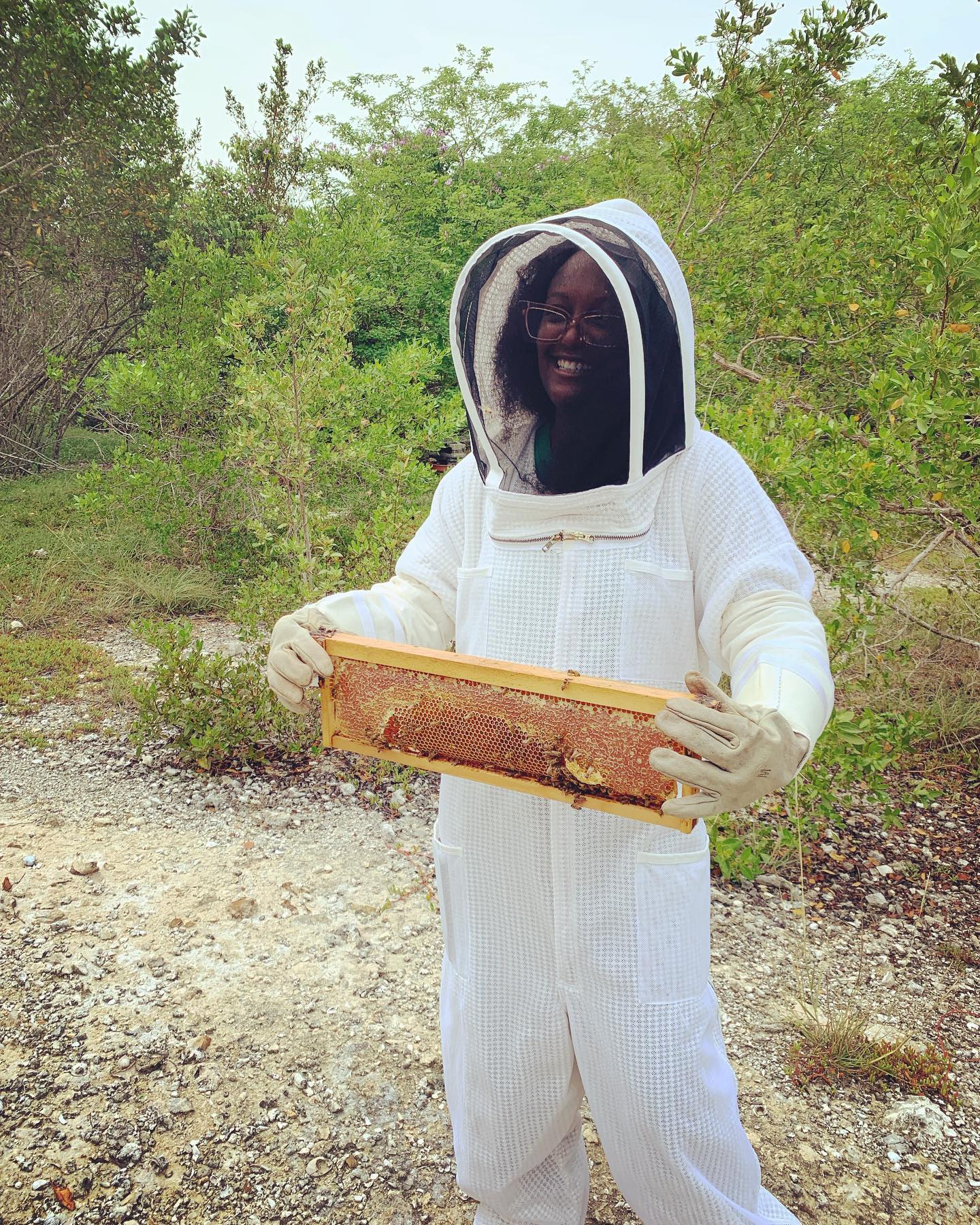 Patiently waiting on our next harvest #beetour #beekeeping #beekeeper #honey #harvest #caymanislands #travel #experience