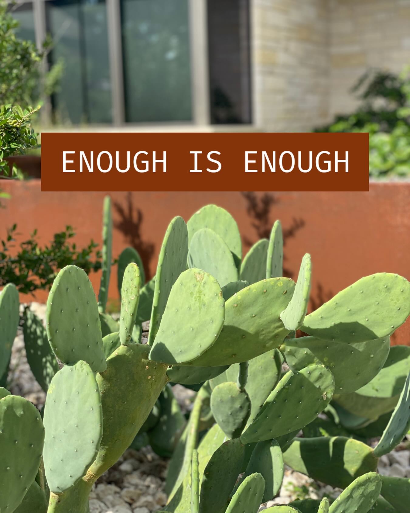 National Shutdown
This Friday, January 30th
No work. No school. No shopping. Stop funding ICE.