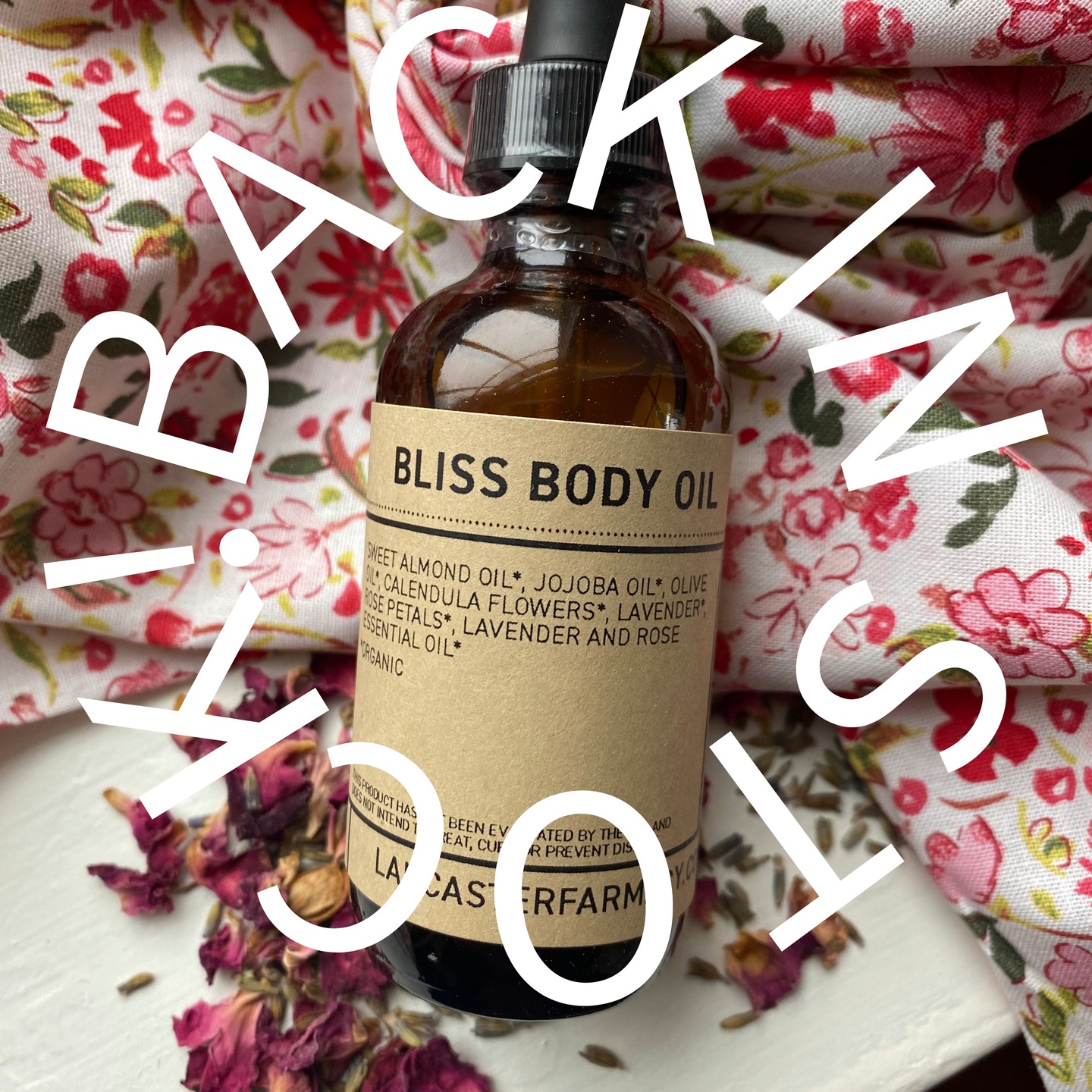 Bliss Body Oil is back in stock!