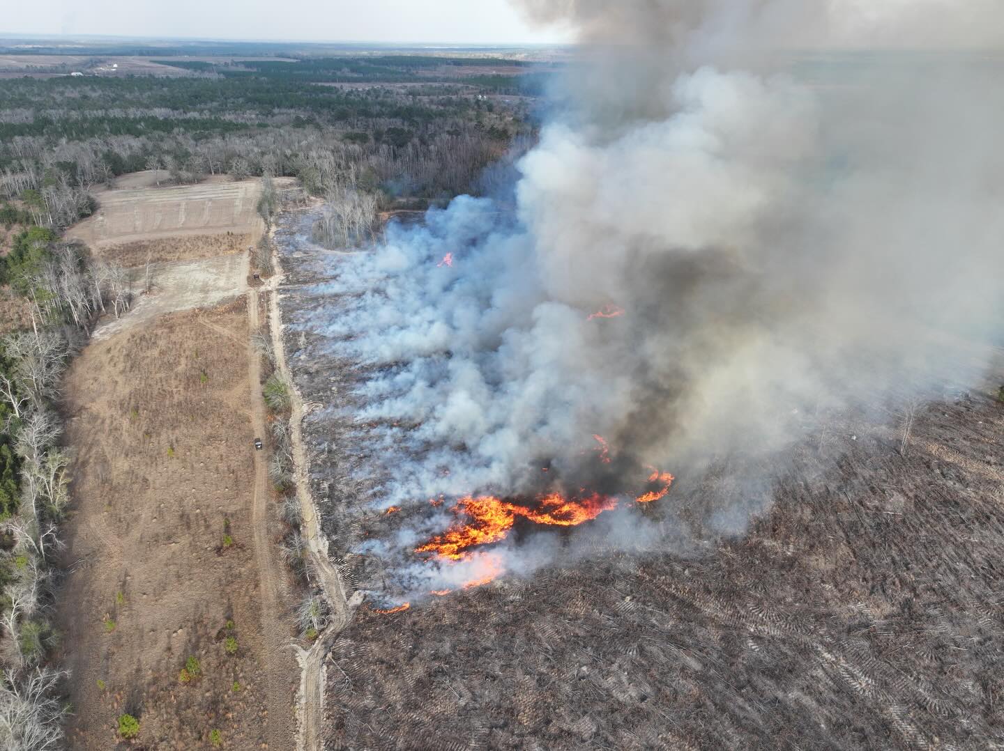 Site Prep Burn🔥
.
It’s been a dry, dry year and it’s pushed back all of our reforestation efforts as well as our site prep burns. We were fortunate enough to get some moisture early in the week, then some great wind & humidity days allowing us to knock out 2 very heavy fueled tracts.
.
Always have good clean breaks, get a burn permit, establish a black line, be patient, check on fire lines frequently, & let’r rip.
.
These were heavy fuel tracts - being strategic & calculated on how fire was deployed was the difference in success or burning up the neighbors