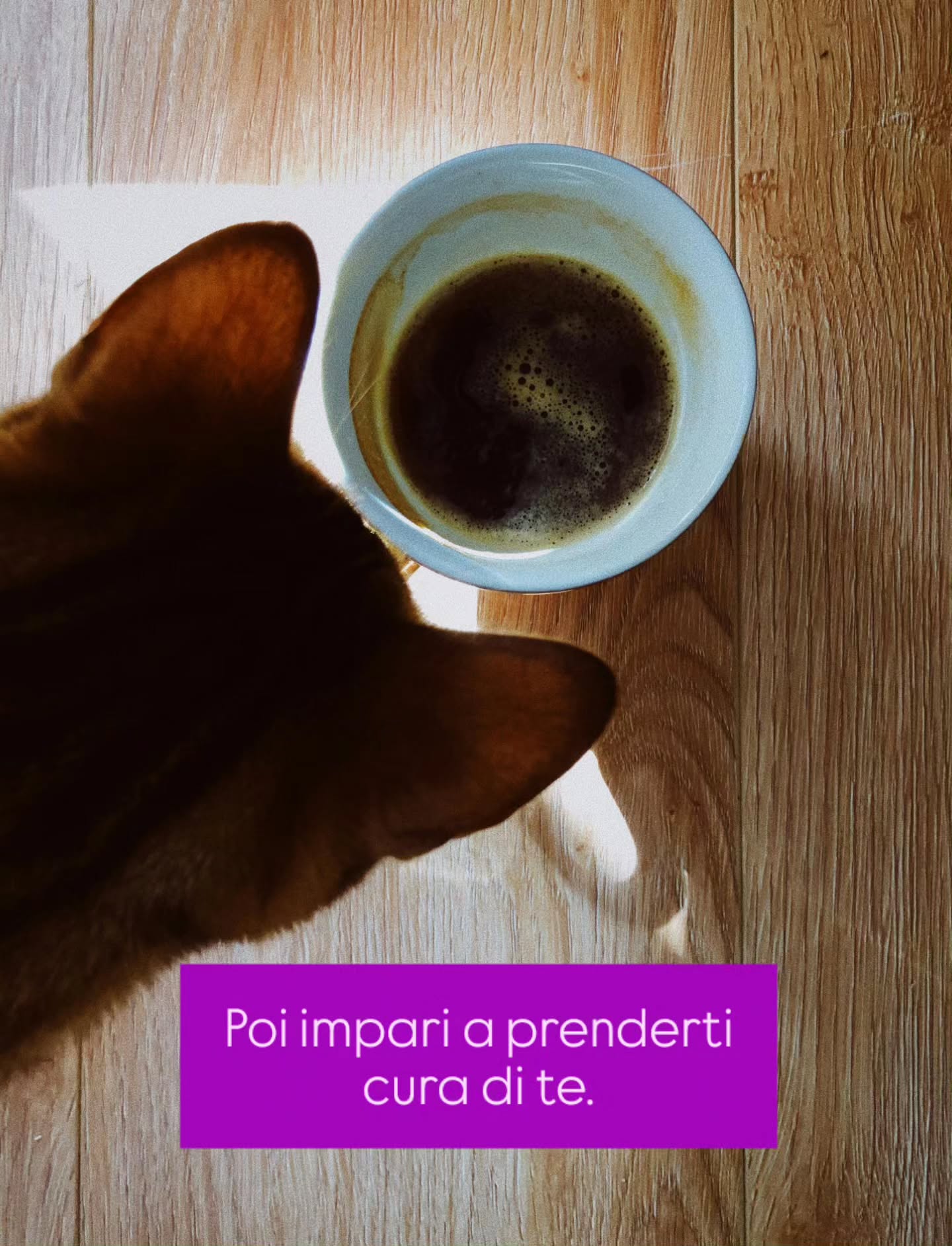📽️ 𝑯𝒂𝒊 𝒎𝒂𝒊 𝒏𝒐𝒕𝒂𝒕𝒐 𝒄𝒉𝒆...
quando sbagli strada su Google Maps, quest'ultimo non ti urla contro, non ti dice "idiota hai fallito!".
Ti dice semplicemente "Ricalcolo".
E ti offre un nuovo percorso.
Questa è la vita.
Commetti un errore? Va bene, ricalcola.
Forse quella svolta sbagliata ti ha evitato un incidente peggiore.
Forse quella deviazione ti ha insegnato qualcosa che il percorso diretto non ti avrebbe mai mostrato.
Forse proprio quella vista panoramica era la vista che ti serviva per trovare la forza di andare avanti.
Quindi smettila di gridarti addosso come se fossi persə per sempre.
Non sei indietro, stai semplicemente ricalcolando.
E sai una cosa?
Arriverai comunque a destinazione.
#AkaliDisequilibrium #NutriamociDiVita #CrescitaPersonale #Obiettivi #Percorso