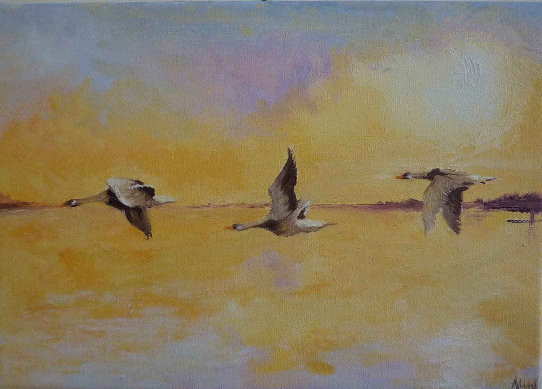 Langston Geese
Oil on canvas.
Wild geese symbolised the Holy Spirit to early Celtic Christians which reminds me that Christians are free to worship God in many different ways.
This wild bird can navigate it's way using landmarks, rivers and understands which way is north by sensing the earth's magnetic field.
It conserves energy by flying in another birds slip stream.
#rspb #birds #geese #brentgeese #langstone #birdflying #flight #artistsoninstagram #oilpainter #paintings #landscapepainting #womenartists #landscapepainter #rspb_love_nature #ukbirds #waterfowl #sunset #harbour #landscape