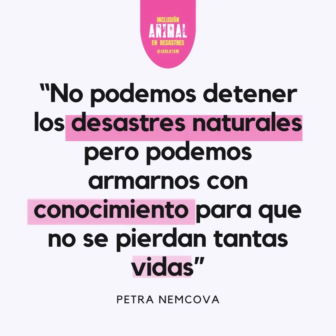 La prevención y reducción de riesgos no sólo son la inversión de recursos más eficientes 💰 también son la manera más fácil de limitar la pérdida de vida ❤️
.
.
.
#animalesendesastres #iad #iadlatam #inclusionanimalendesastres #inclusionanimal #cuidadoanimal #ningunanimalsequedaatras #animal #animallovers #animals #amor #ayuda #proteccion #conservacion #educacion #desastres #desastresnaturales #latina #cambioclimatico #refugioanimal #santuarioanimal #caribe #petsofinstagram #plandemergencias #americalatina