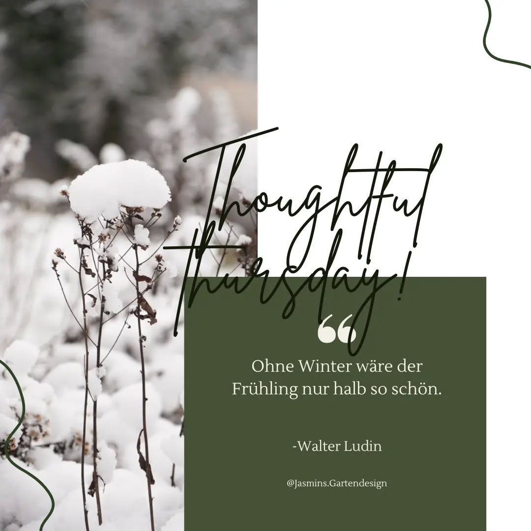 Dieses schöne Zitat möchte ich euch mit ins Wochenende geben. 😊
Wie sehr freut man sich doch nach der kalten grauen Jahreszeit auf die ersten bunten Frühlingsboten? 💐
💡❗Aber, wer den Garten richtig plant bzw. planen lässt, kann auch im Winter einen wunderschönen vielfältigen Garten haben.
Es gibt unzählige Stauden, die als Strukturbildner im Beet stehen gelassen werden können und die mit einer Schneehaube oder mit Frost überzogen wie Eisblumen aussehen können.
Bei den Gehölzen rückt der einzigartige Habitus in den Vordergrund und die Gestaltungsform des Gartens (geometrisch, organisch) wird sichtbarer.
Was meinst du? Bist du zu jeder Jahreszeit vollkommen zufrieden mit deinem Garten?
.
.
.
.
.
.
.
.
.
.
.
.
.
.
.
.
#Landschaftsarchitektur #landschaftsfotografie #Landschaftsgestaltung #landschaftsphotography #landschaftsarchitektin #Gartengestaltung #gardendesign #grünebranche #garteninspo #gardeninspo #gartenjournal #gartenbau #gartenanlage #gartenarchitektur #gartenplanung #Hausgartenplanung #hausbau2024 #homeandgarden #hausbau2023 #grünanlagen #grünerwohnen #grünimgarten #gehölzeimgarten #gehölzstruktur #staudenkombinationen #staudenverwendung #winteraspekt #eisblumen