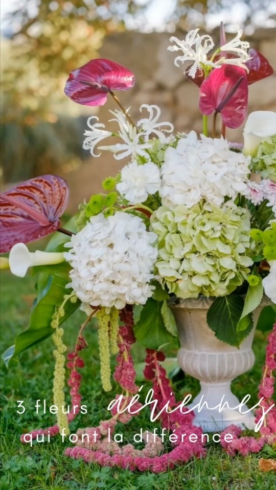 Ce que j’aime en décoration florale,
ce sont les fleurs qui changent tout sans en faire trop.
Les campanules
J’aime les campanules pour leur légèreté naturelle.
Elles apportent du mouvement, de la douceur, cette impression que la composition respire.
Elles ne remplissent pas l’espace, elles l’accompagnent.
Les clématites
Les clématites, je les choisis pour leur côté inattendu.
Elles dessinent des lignes, créent du rythme, cassent les compositions trop sages.
Une fleur graphique, aérienne, qui donne du caractère sans jamais alourdir.
Les nérines
La nérine, c’est la signature.
Une fleur sculpturale, élégante, presque audacieuse.
Elle attire le regard, apporte de la hauteur, et transforme une composition en pièce forte.
Ces trois fleurs ont quelque chose de précieux :
elles structurent sans charger,
elles donnent du volume sans masse,
elles font la différence sans voler la vedette.
C’est souvent ce détail-là qui change tout.
Une fleur bien choisie, bien placée, qui laisse circuler l’air, la lumière, l’émotion.
En décoration florale de mariage, ce sont ces choix subtils qui rendent un décor vraiment mémorable.
Photos : Couverture mariage de Lisa et Evan
Wedding planner : @weddingdaybychloe
Photographe : @ju.cafiero armand_mcs
Vidéaste : @deltoroangelo
Lieu : @chateauasaintlaurent
@cecile.chateauasaintlaurent
Robe : @latelierjourdereve
Coiffure : @salon_mj_coiffure
Maquillage : @secret_of_helena
DJ : @ced_turner_events
Traiteur : @ramiertraiteur
Fleurs / décoration : @julieetvictor_photographer @maisonjulieetvictor
Location décoration : @ProvenceLocationmariage
Location mobilier : @pinkrabbit
Photos campanules :
Art Direction & Wedding Design @maison_julieetvictor @gisele.carles
Venue @chateaudeventavon
Planning & Coordination @gisele.carles @wedding_riviera_agency
Photography @mjp_photographie
Videography @skyfocal_productions
Design & Florals @maison_julieetvictor
Rental @provencelocationmariage
SUITE EN COMMENTAIRE