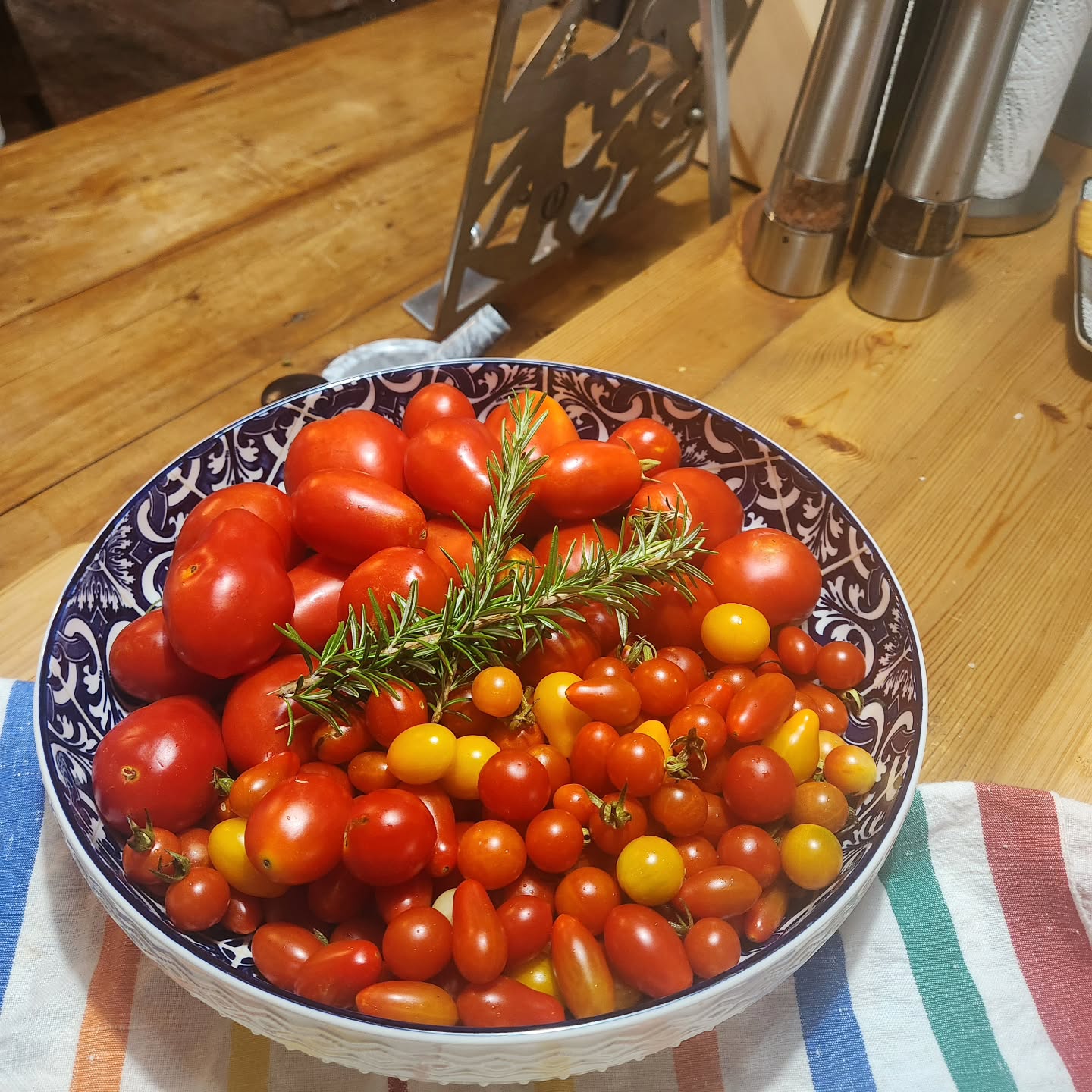 Fresh from our garden 🌱🍅
Sun-ripened tomatoes, picked at their peak and heading straight to the table. Simple, honest flavours — just the way we love it.
#freshfromthegarden #Homegrown #FarmLife #seasonaleating #gardenharvest