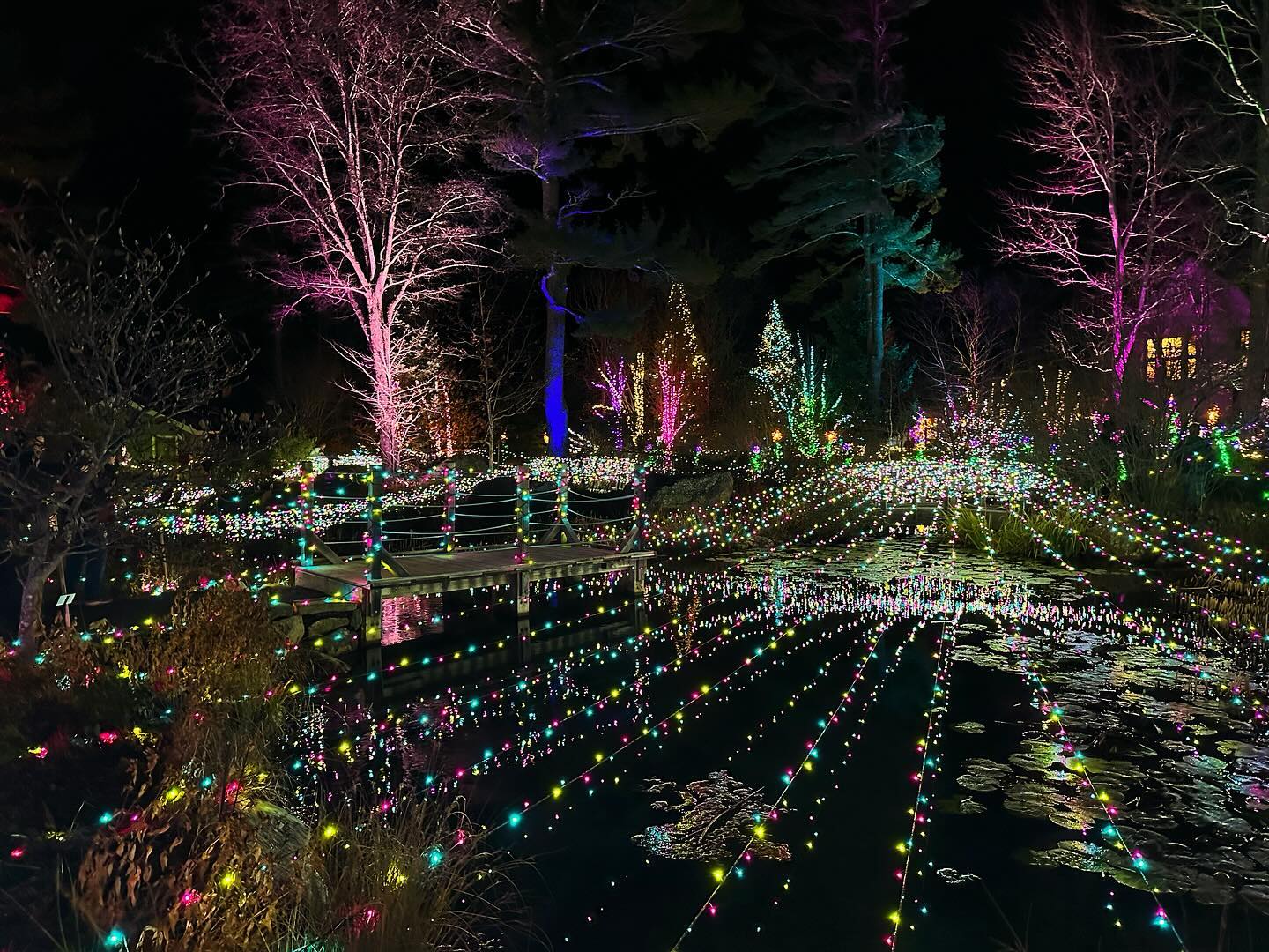 Gardens Aglow is returning for its ninth season tonight @coastalmainebotanicalgardens ๐
Largest and brightest light display in New England is truly magical. โจโจ