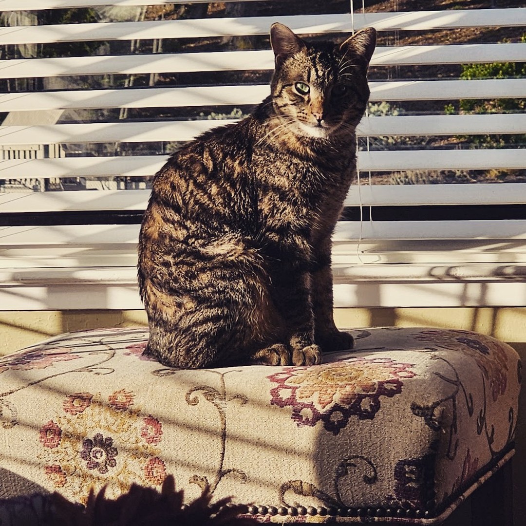 Gary. Being all regal.