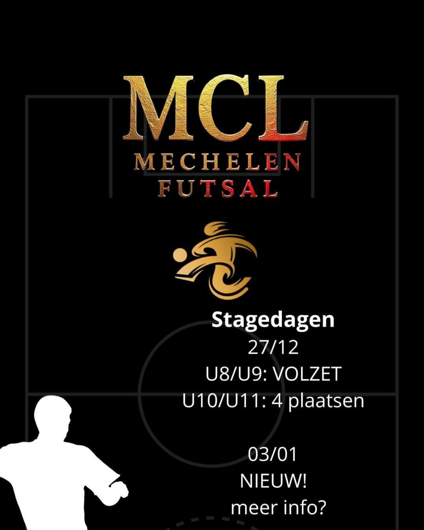 Zin om deel te nemen aan ƩƩn van onze stagedagen? Contacteer ons snel!