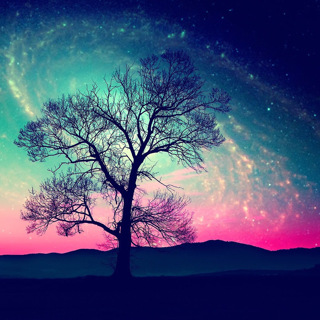 “There are sensible critics of viewing nature through poetic comparison or anthropomorphism. The Earth, its Byzantine architecture of interconnected life, its inert tons of molten stone, its invisible pull of gravity, of magnetism. It is not literally our mother. Yet, it is. Every facet of our species is shaped by the physical/chemical nature of Earth. We see this in the family resemblance among all our planet’s life forms. Calling the Earth our mother is a concise route to an overarching truth. That’s the point of metaphor. The drawback is in using poetics to shut down curiosity, study, or specificity. To say, “the Earth is our mother, so let’s close the book on geology.” This would be a misuse of metaphor. This would be painting a landscape over a window. Yet, we need the poetic lens because understanding the physical realities of iron isn’t quite the same as weighing the significance of how the iron in our blood connects us to the planet beneath our feet, to the heat of ancient stars. Fact isn’t always the best ambassador of truth.”
Words of insight by @cryptonaturalist
One of the easiest ways to connect with planet Earth is to help plant trees by switching your web browser to @Ecosia to plant trees for free while you search the web. Ecosia.org is the ‘search engine that plants trees’ by donating 80% of their advertising revenue to effective tree planting projects around the world with a focus on biodiversity hotspots.
Subscribe to @trees_are_awesome for more inspiring nature content and to connect with easy ways to plant trees around the world.
#treesareawesome #trilliontrees #reforestation #generationrestoration #naturelearning #natureenthusiast #explorenature #nature_brilliance #inspiredbynature #wildnature #naturebeauty #naturetherapy #incrediblenature #beauty_of_nature #wow_planet #naturegrams #givebacktonature #natureeducation #naturelifeearth #learnaboutnature #naturemeditation #natureinspiredbeauty #naturelifeearth #naturelifeearth #mothernaturerocks #naturephotography #treeplanting #planttrees #treeconnection #treeloves